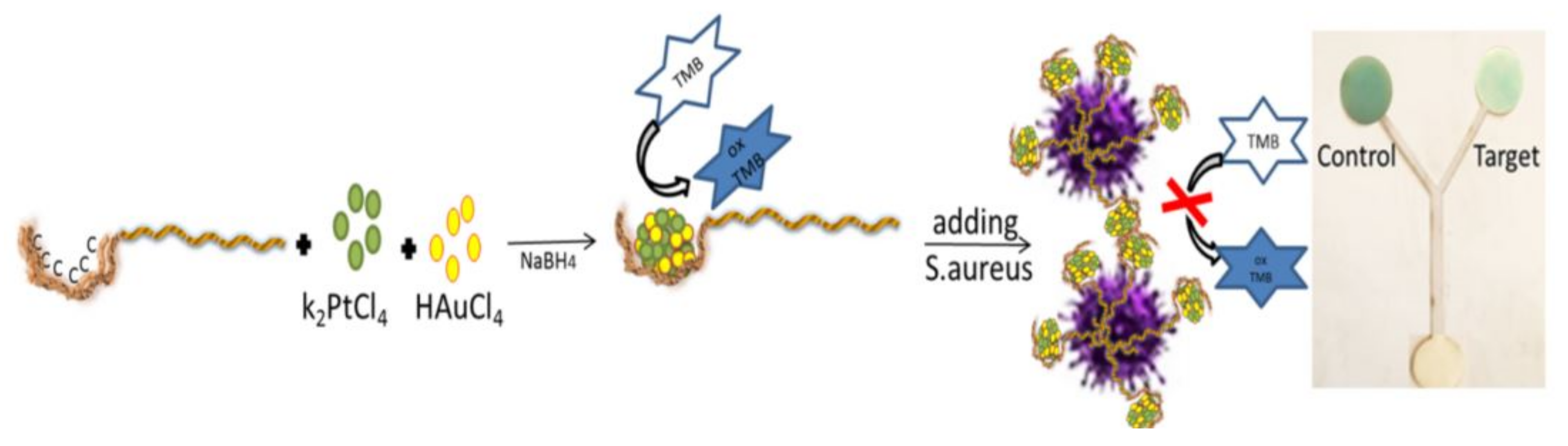 Biosensors 11 00316 g007 Biosensors 11 00316 g007