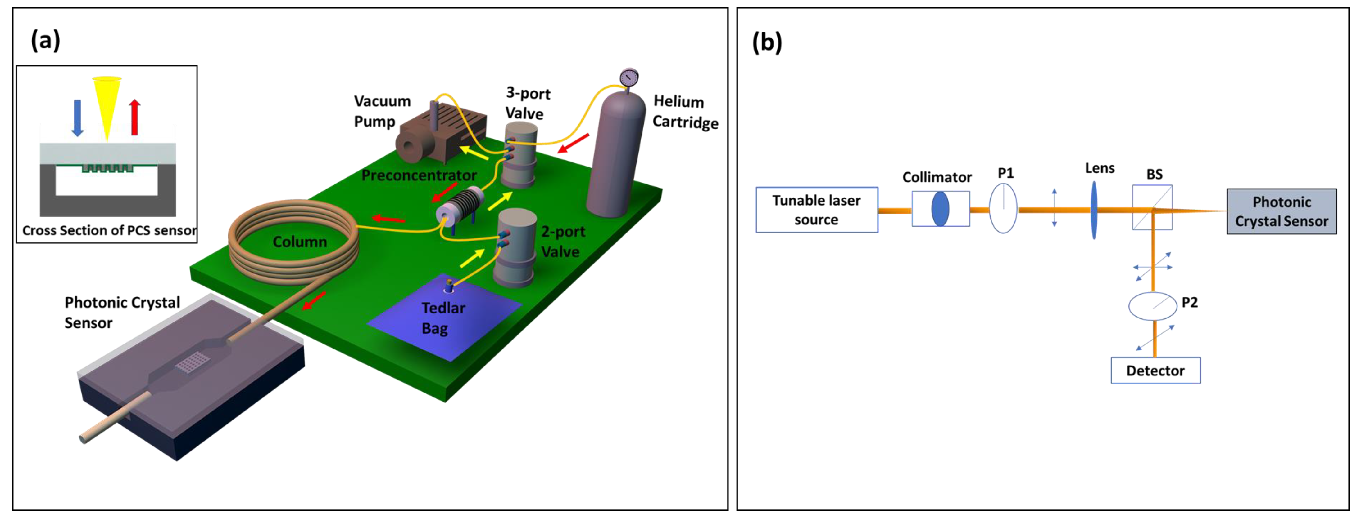 Biosensors 11 00326 g001