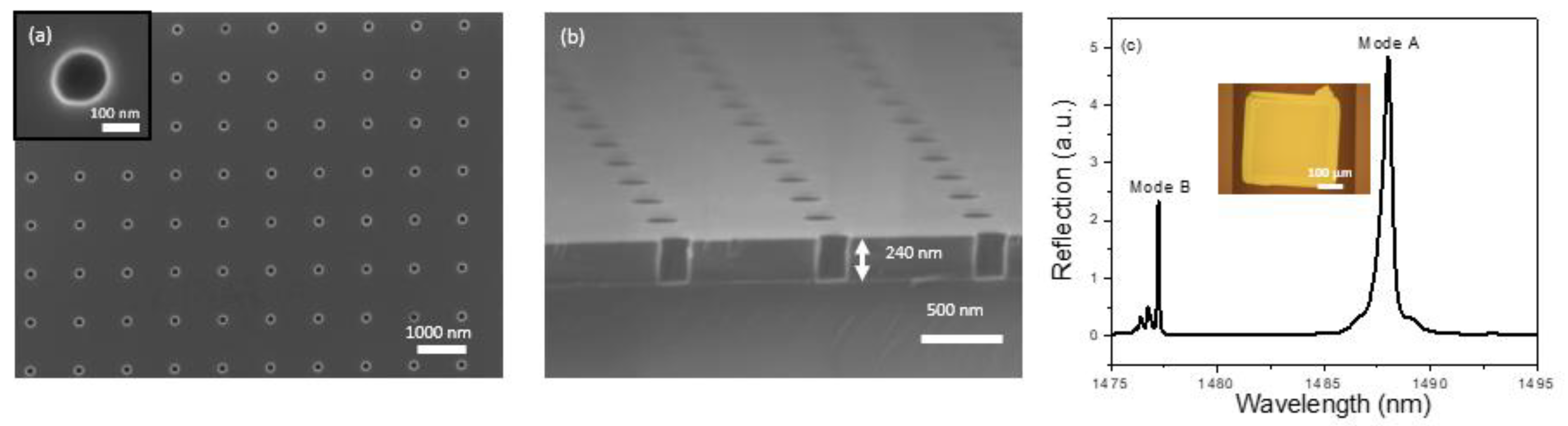 Biosensors 11 00326 g002
