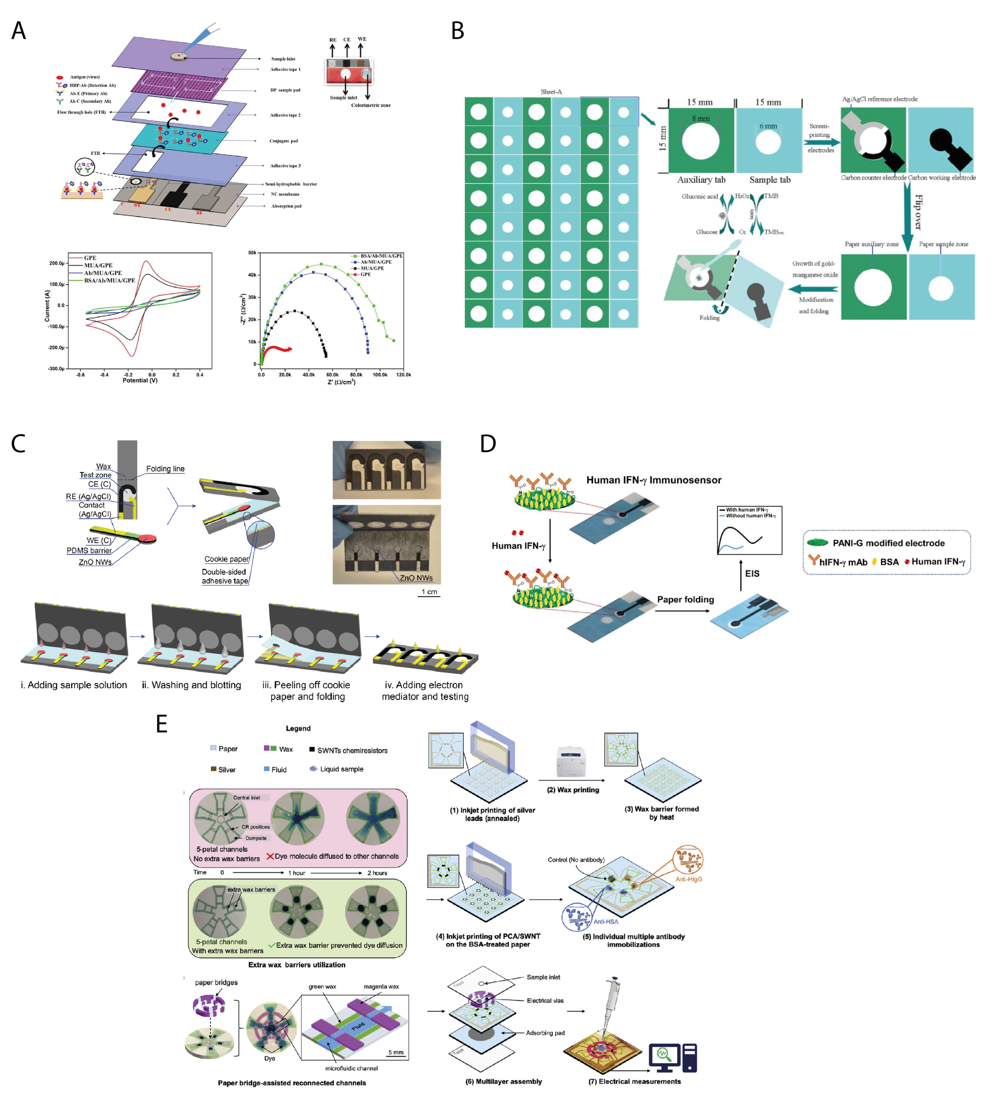 Biosensors 11 00328 g003