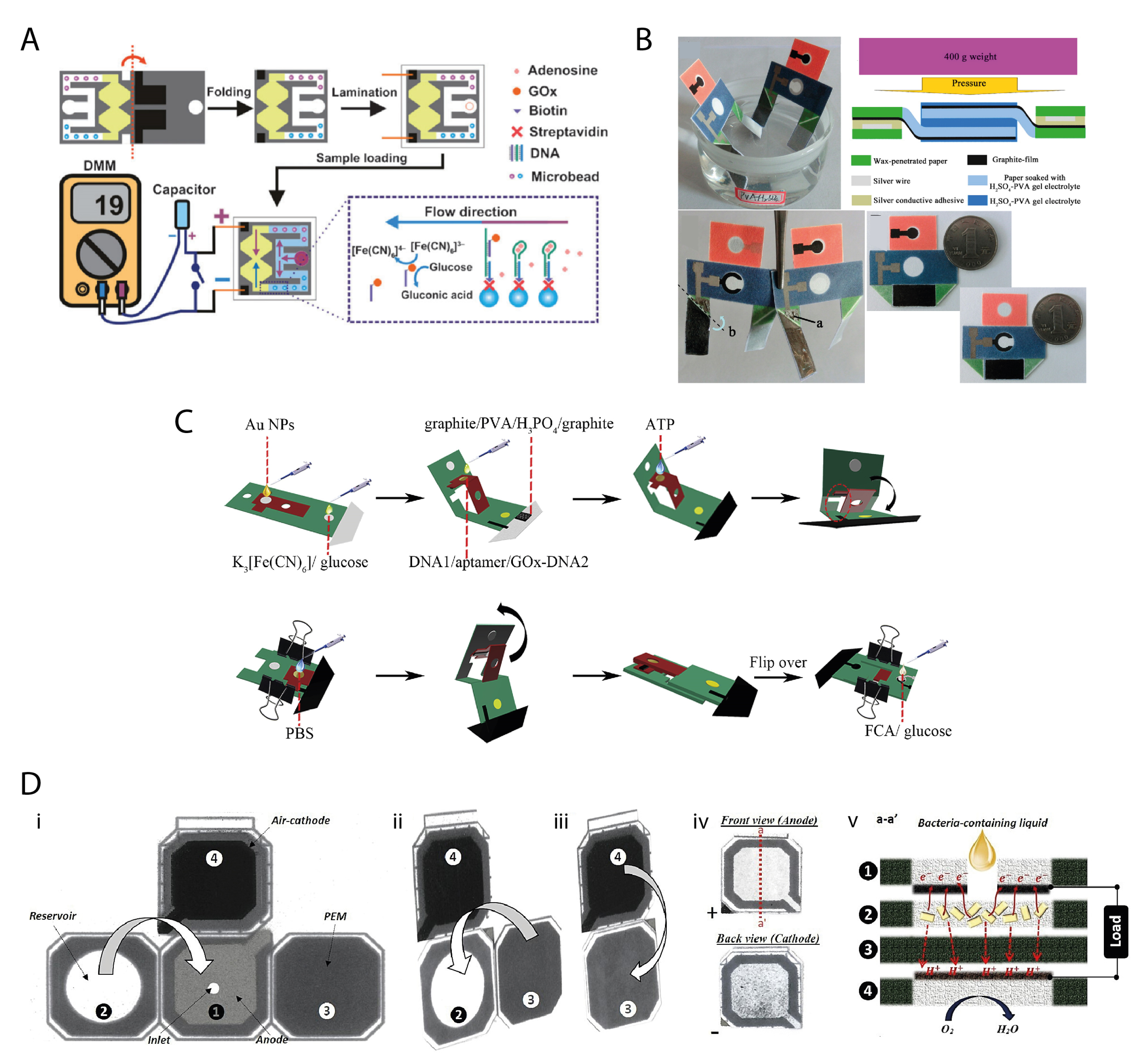 Biosensors 11 00328 g006