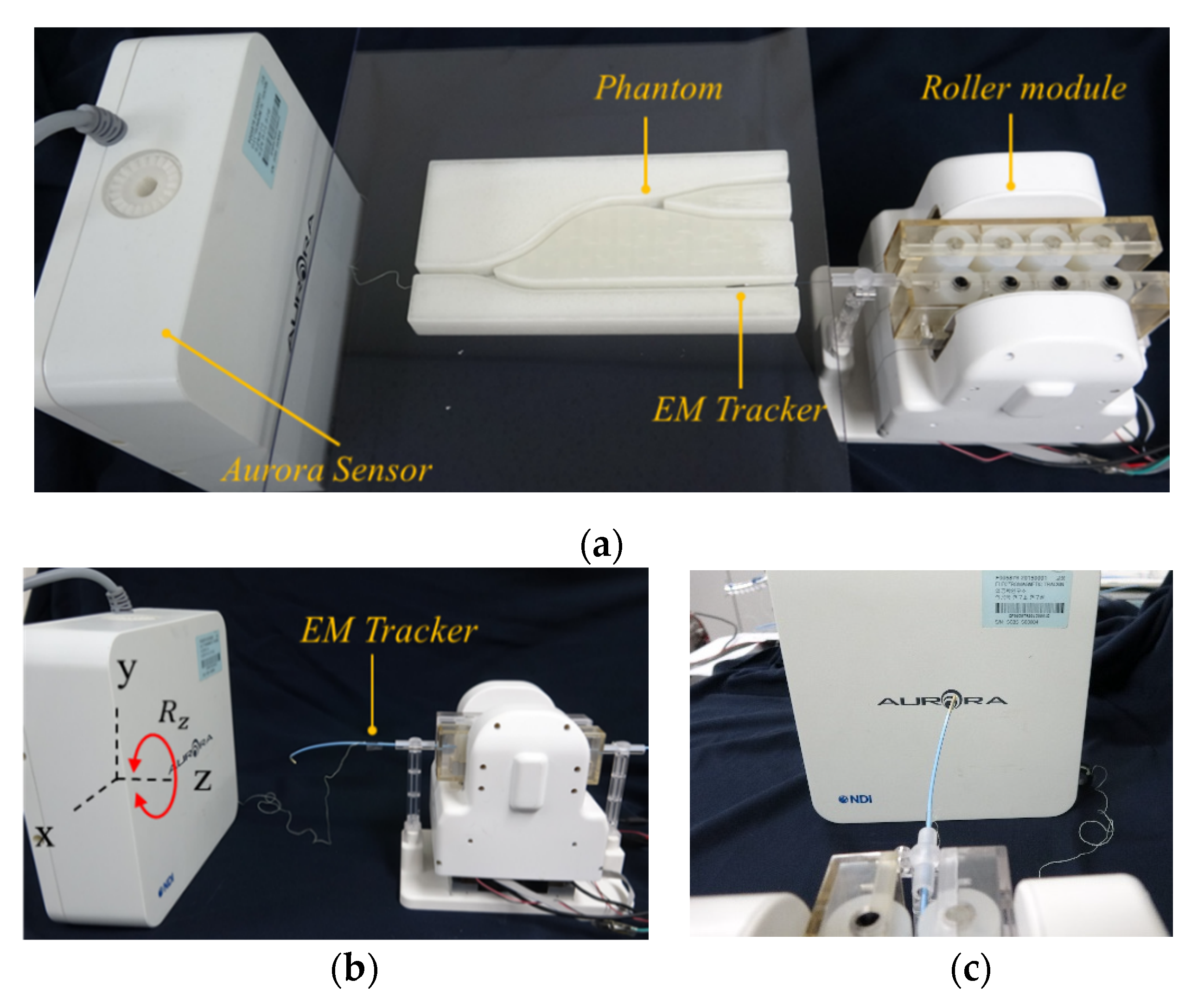 Biosensors 11 00329 g011