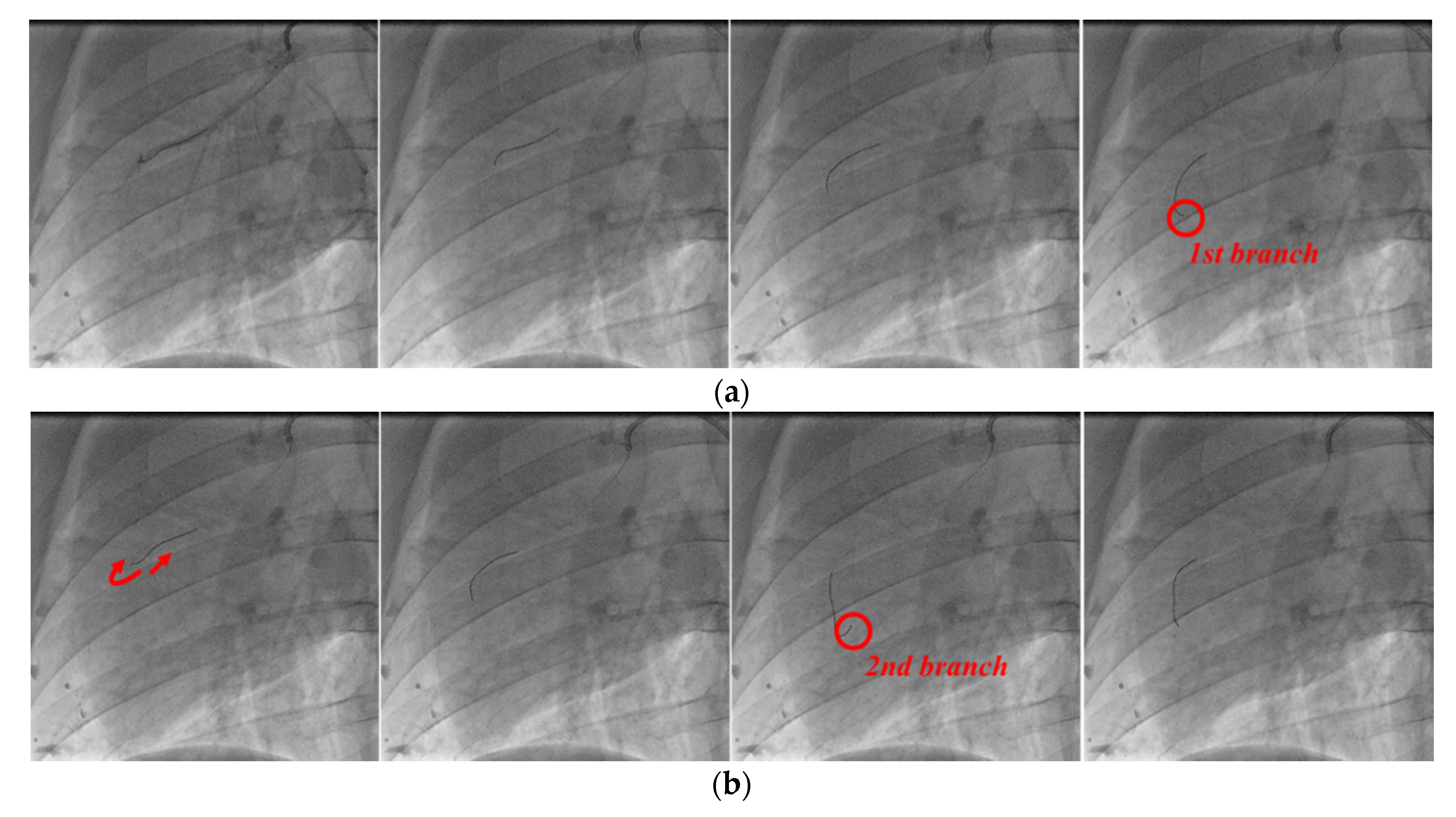 Biosensors 11 00329 g016a