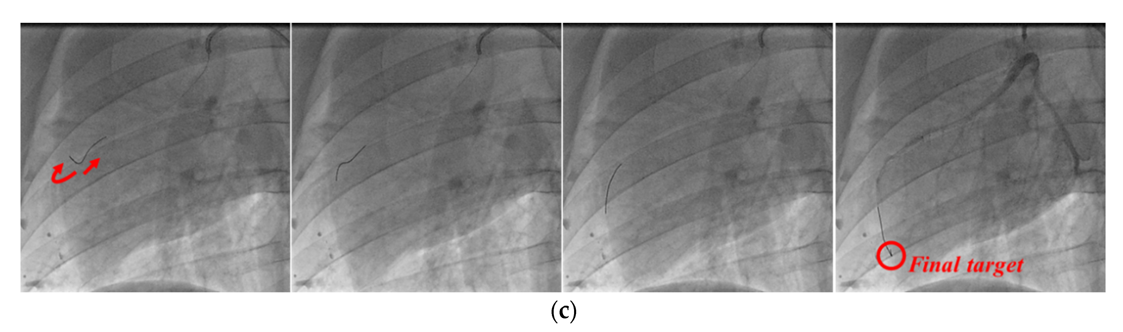 Biosensors 11 00329 g016b