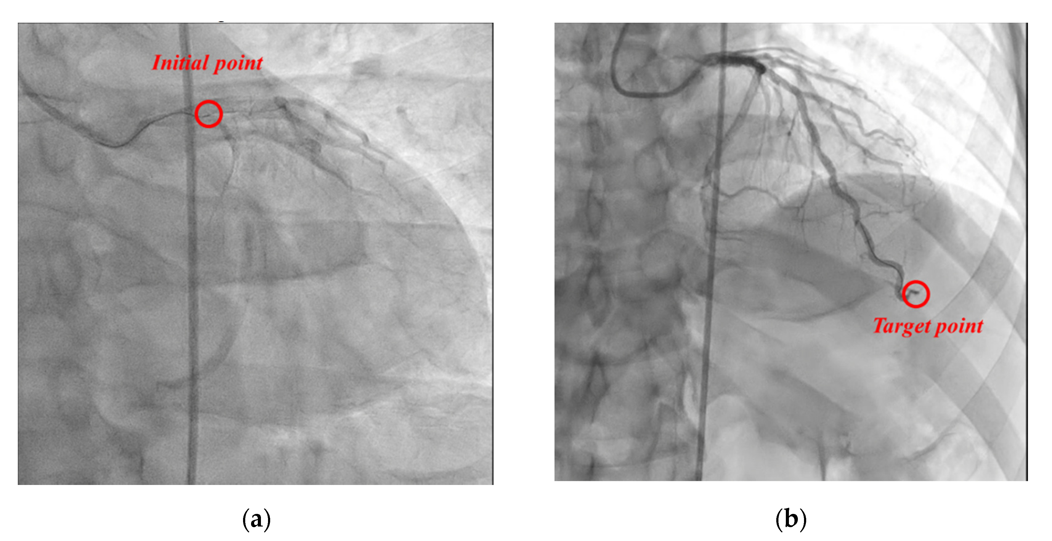 Biosensors 11 00329 g018