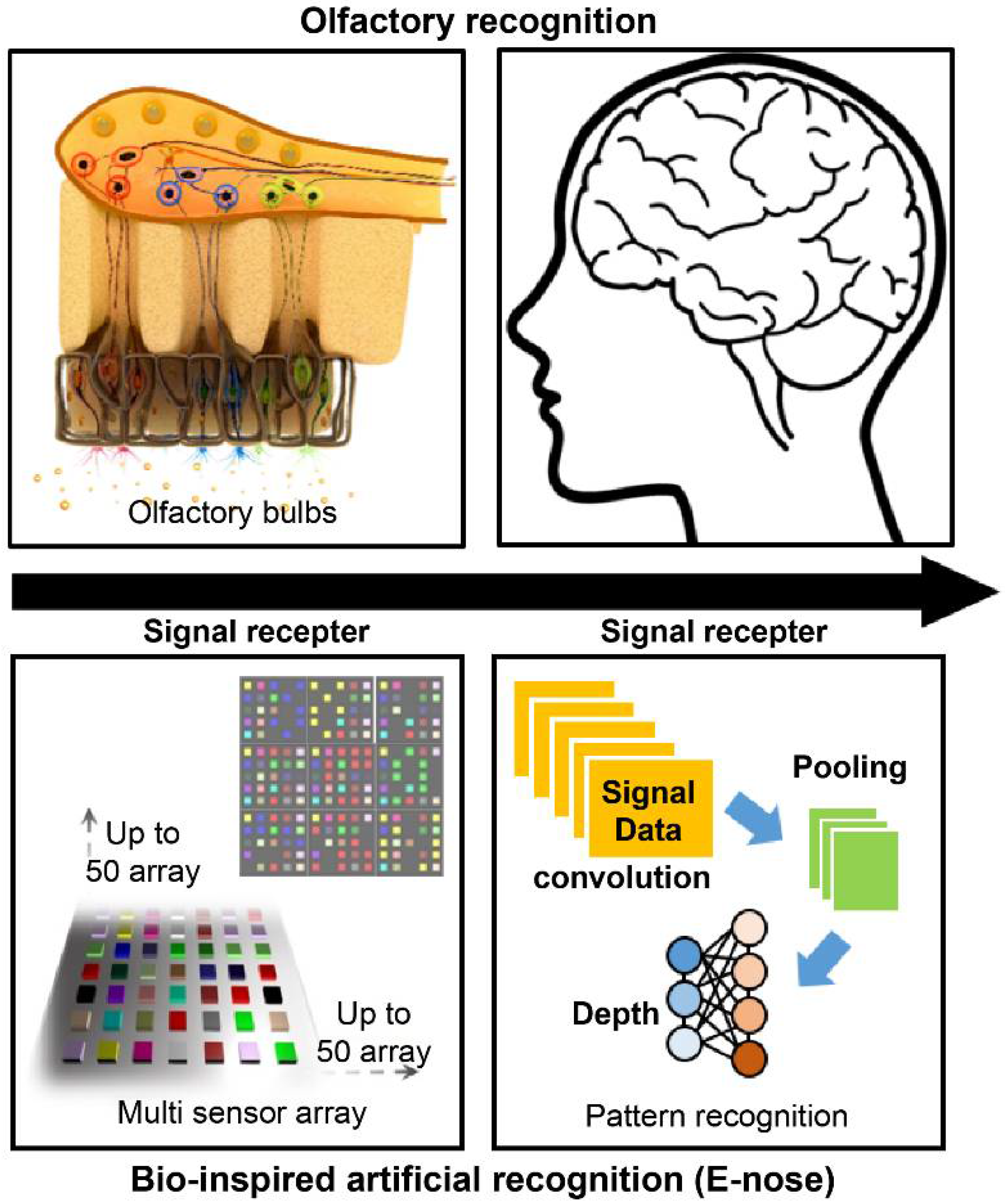 Biosensors 11 00337 g001