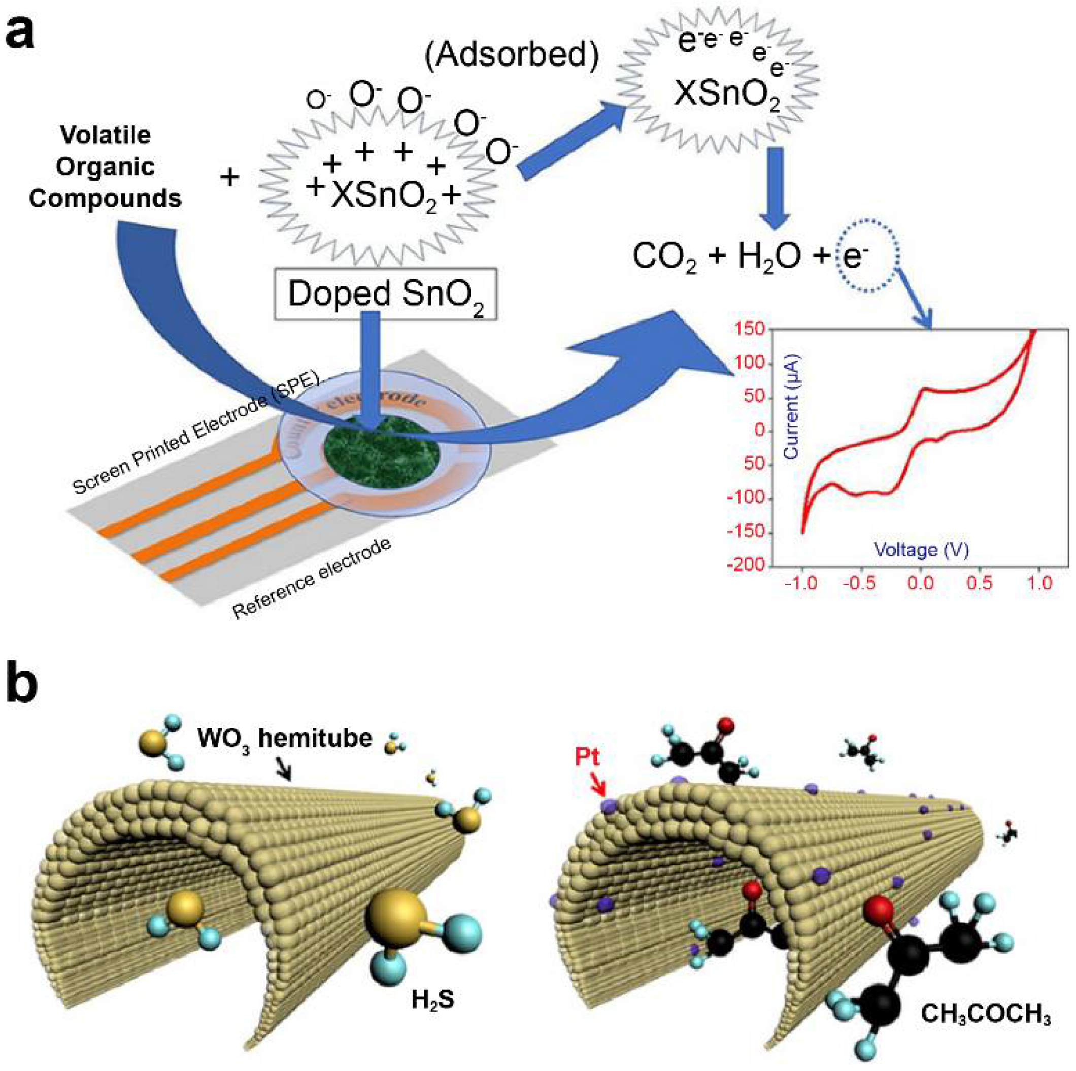Biosensors 11 00337 g002