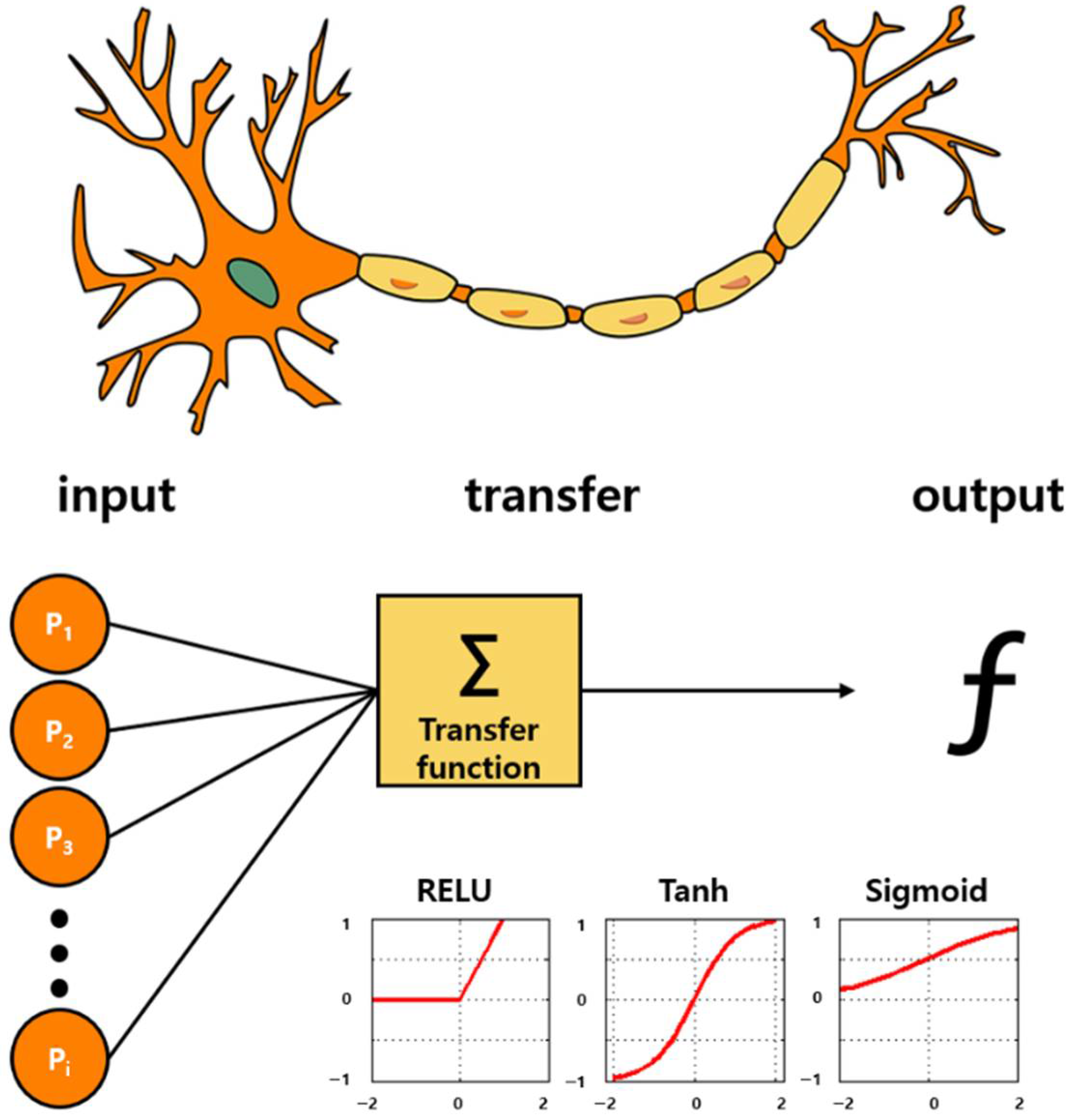 Biosensors 11 00337 g005
