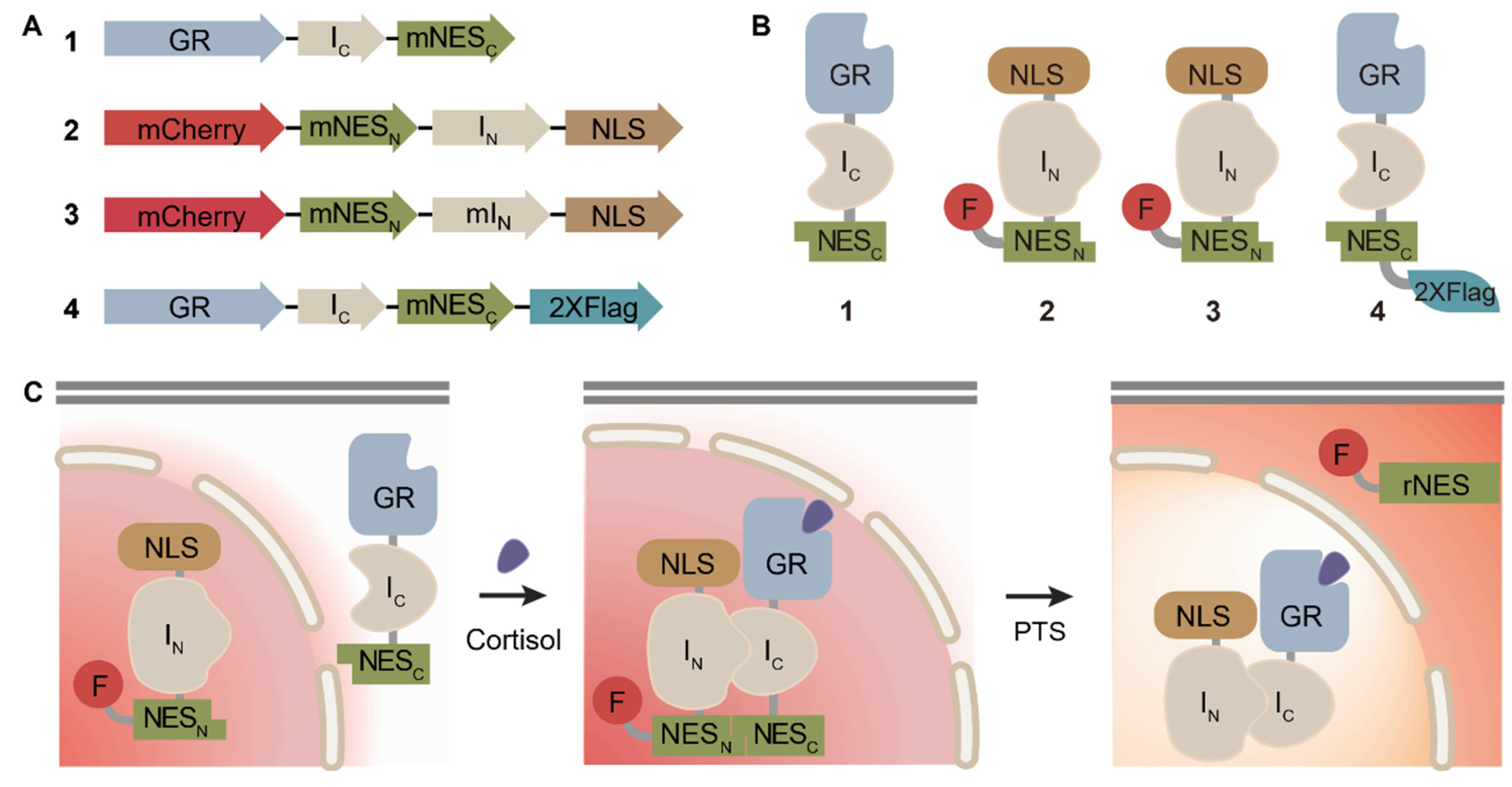 Biosensors 11 00341 g001