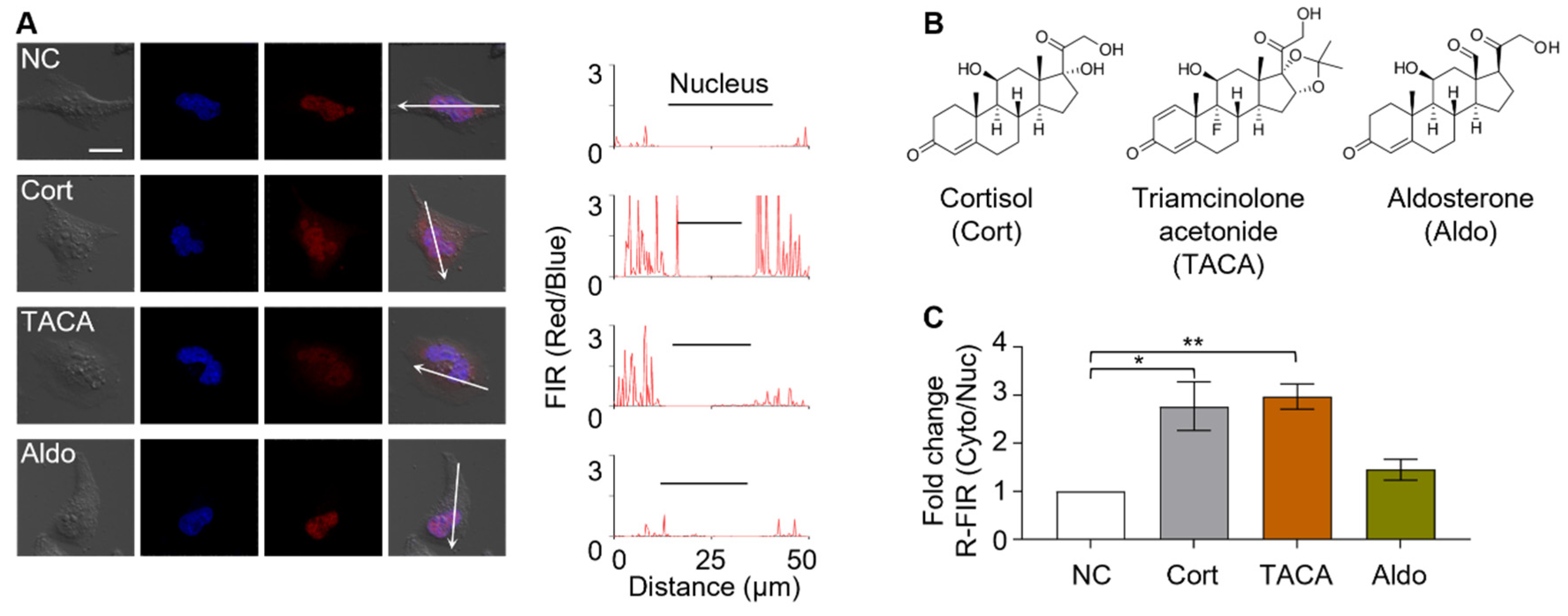Biosensors 11 00341 g003