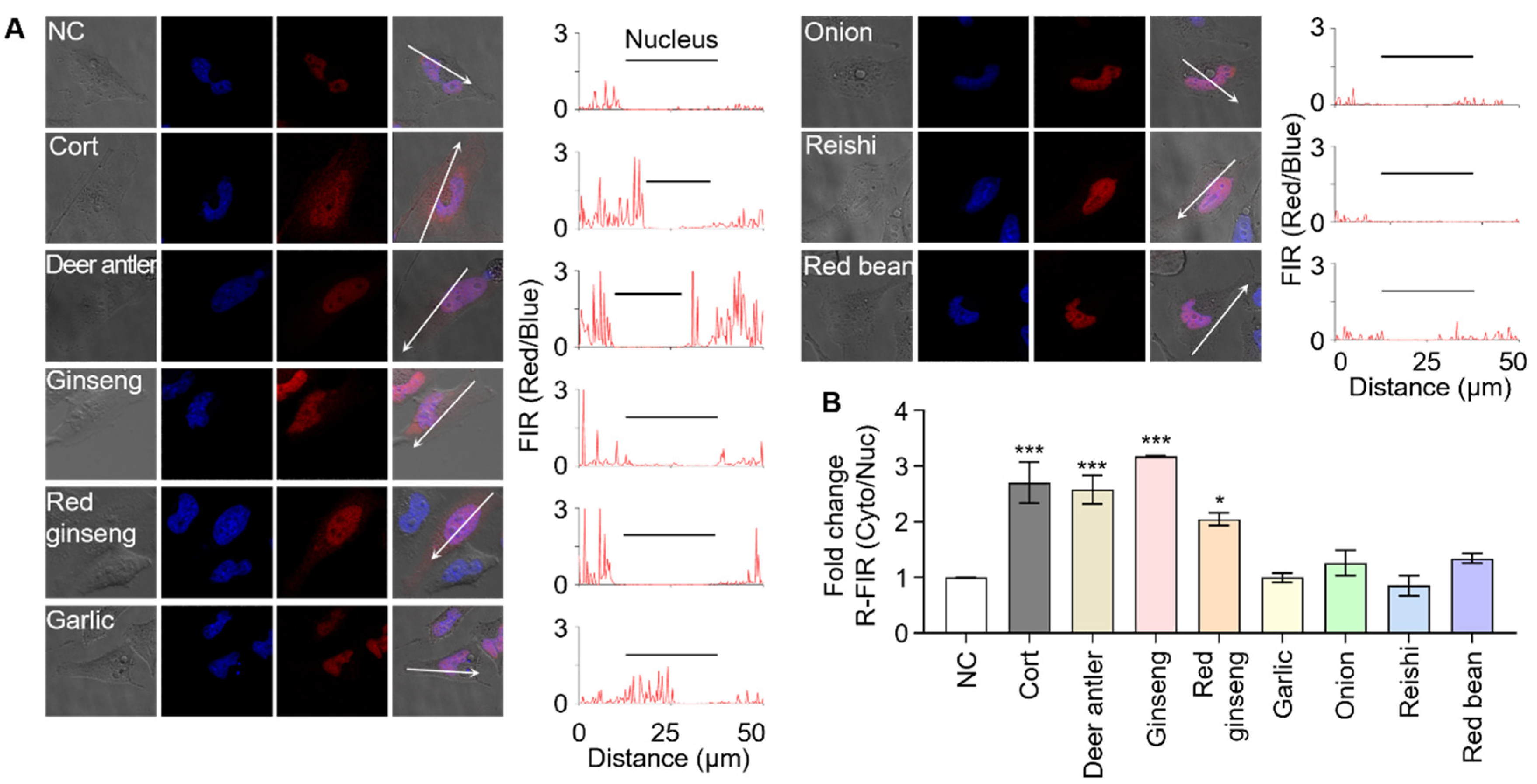 Biosensors 11 00341 g004