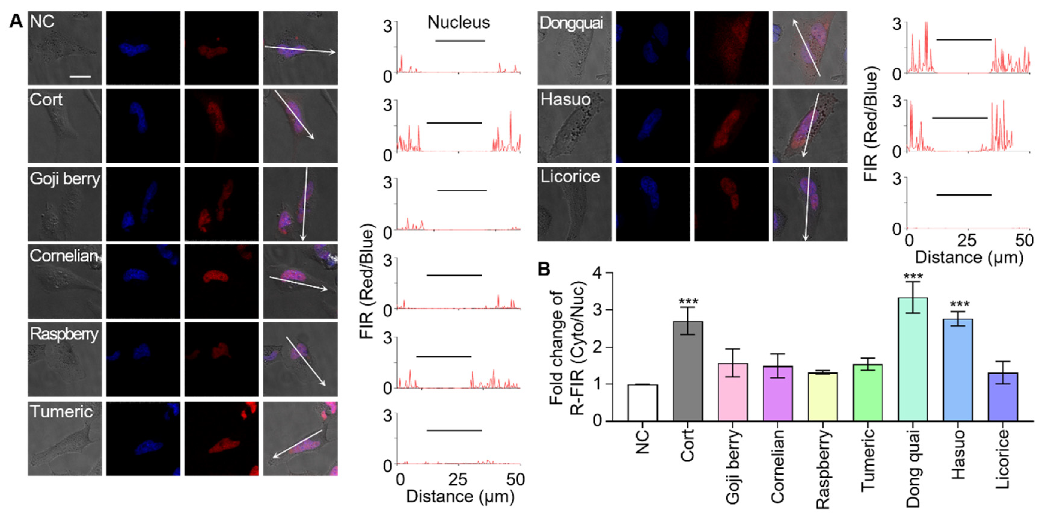 Biosensors 11 00341 g005