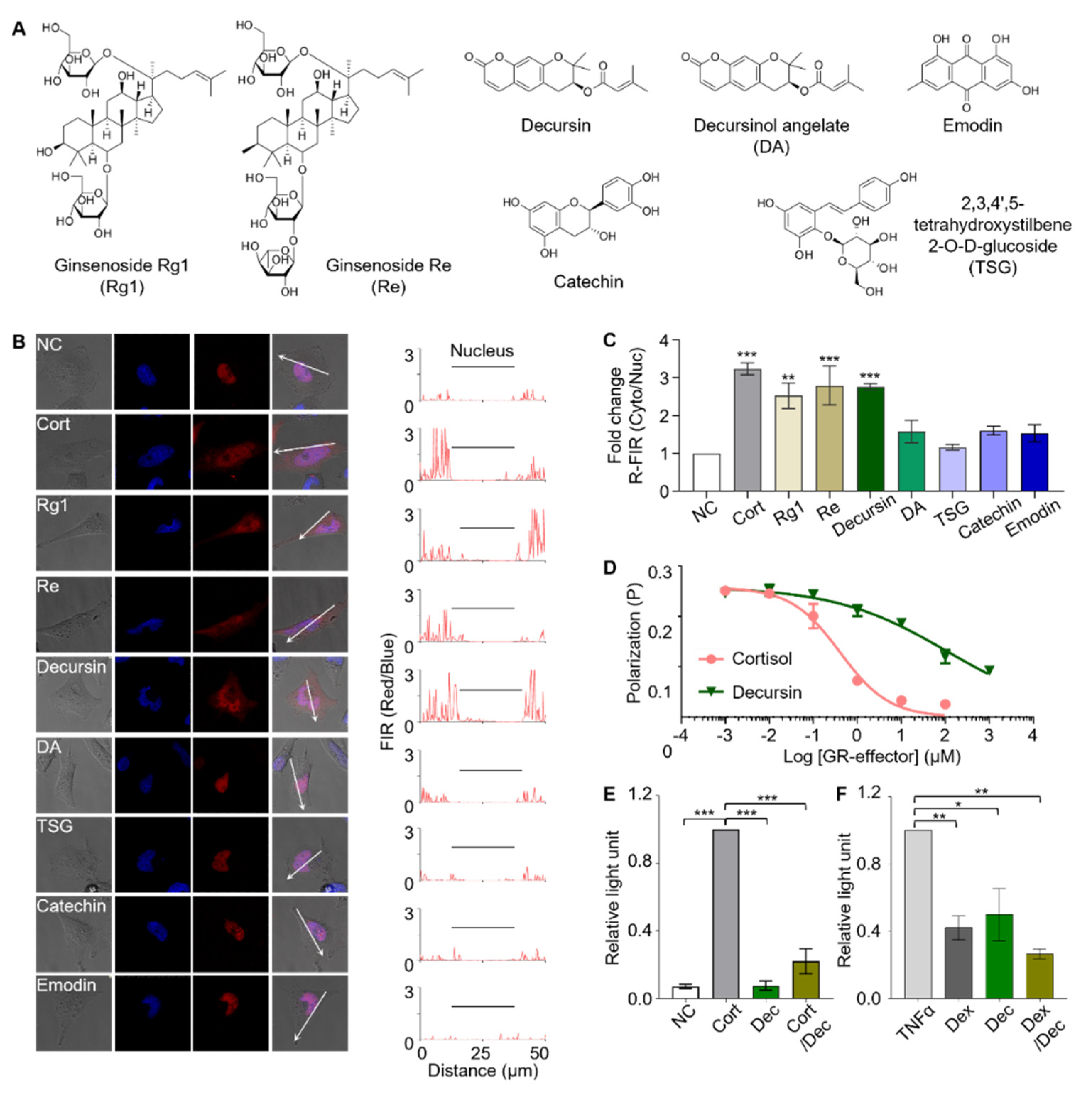 Biosensors 11 00341 g006