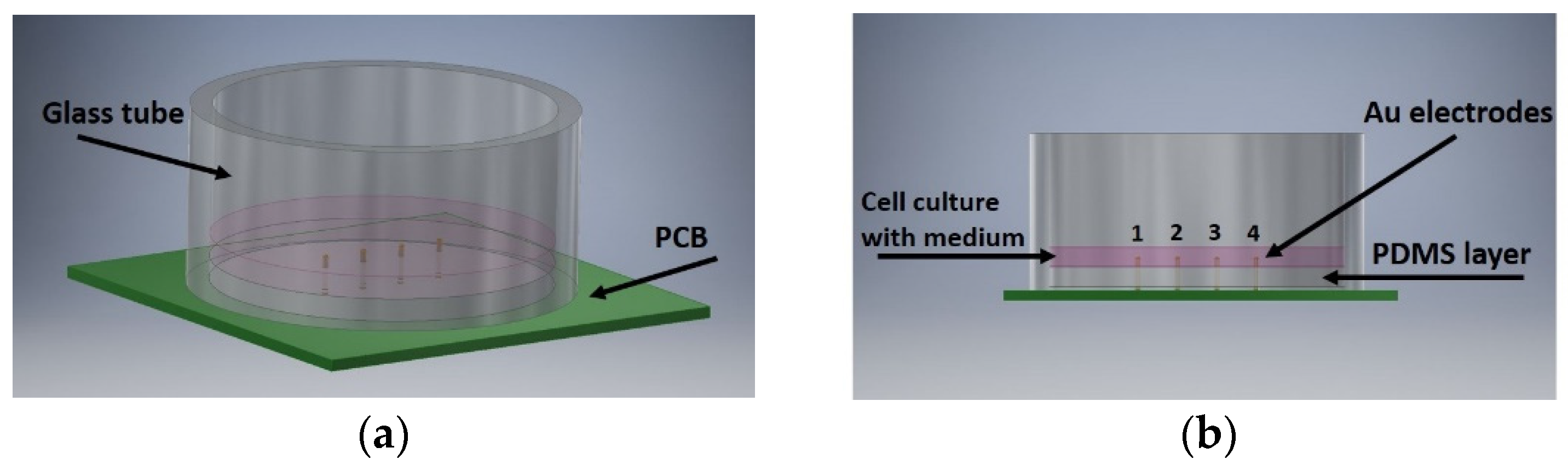 Biosensors 11 00345 g001
