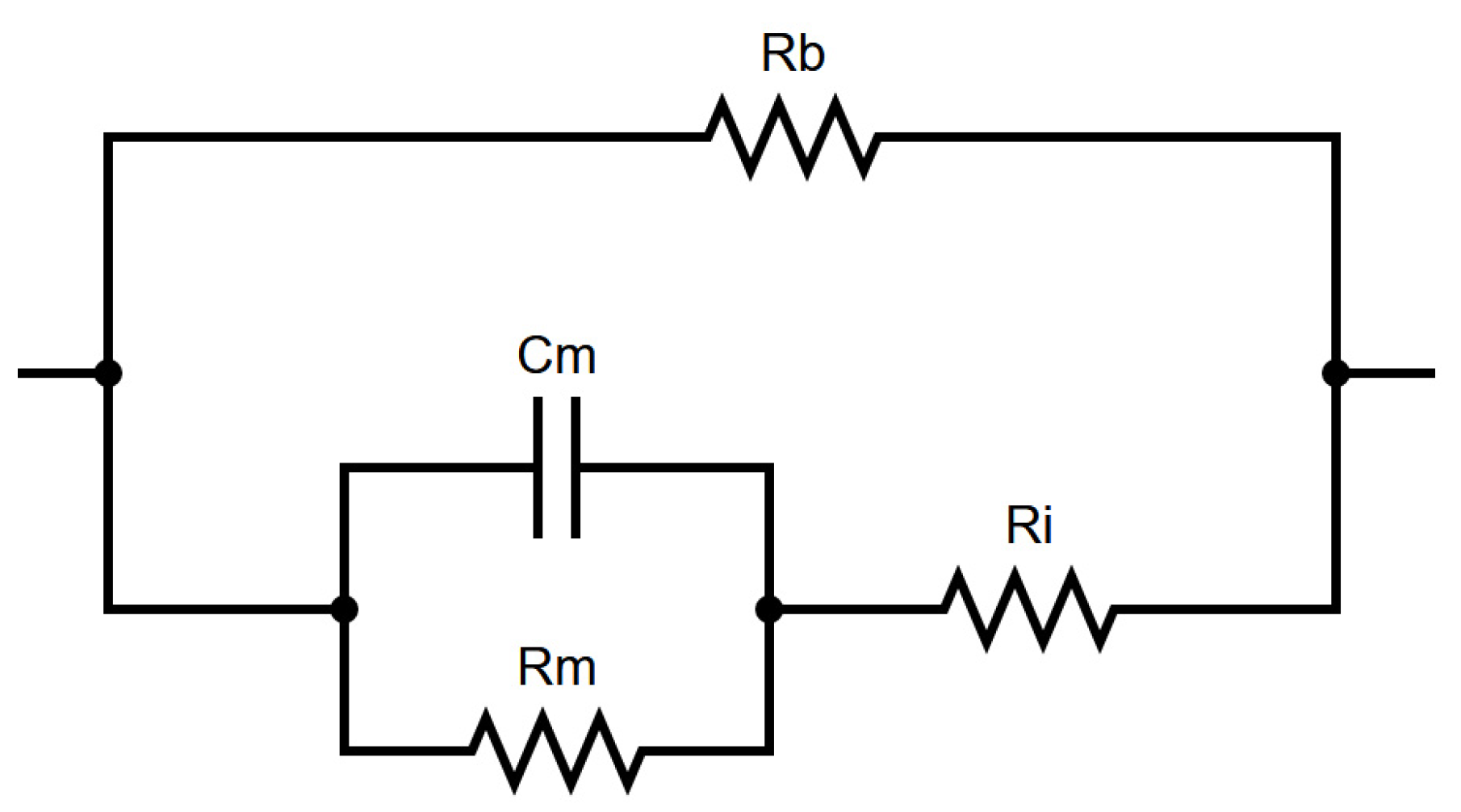 Biosensors 11 00345 g002