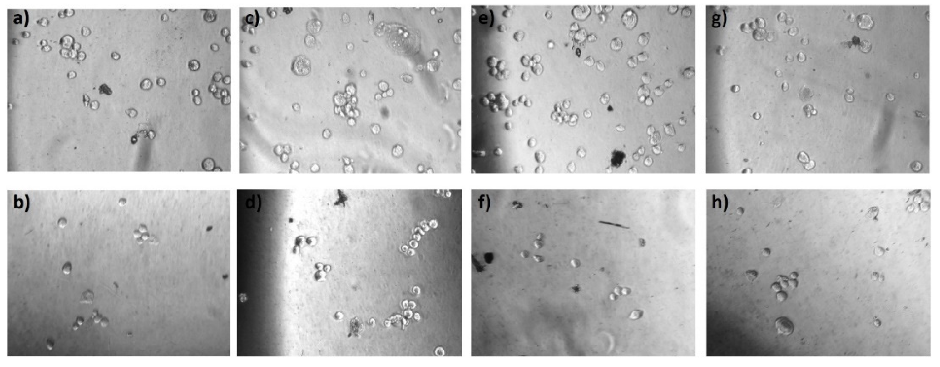 Biosensors 11 00345 g006