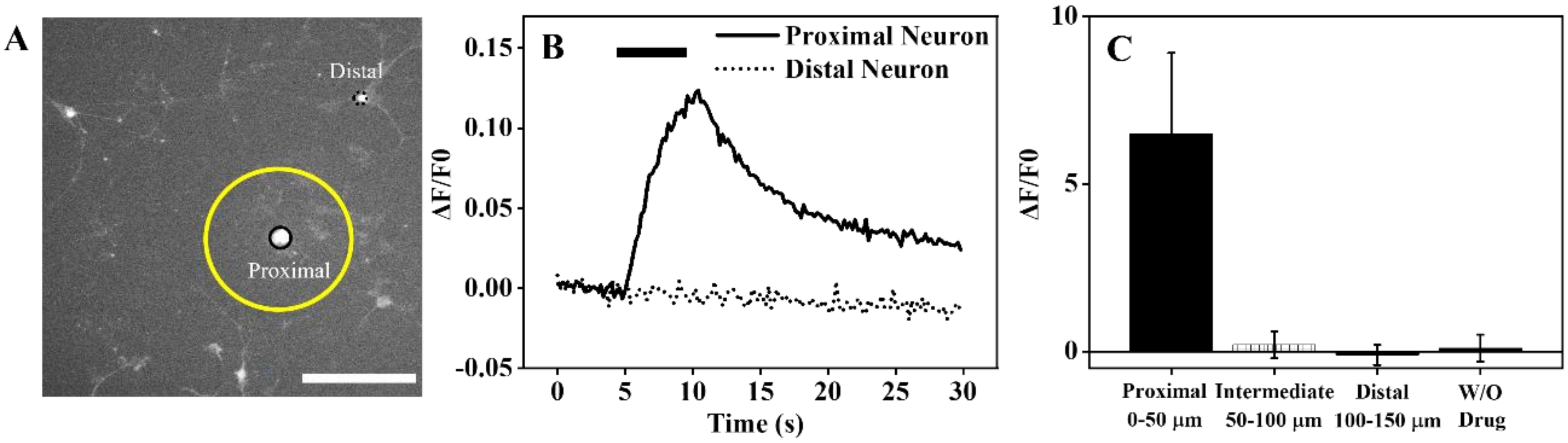 Biosensors 11 00348 g004