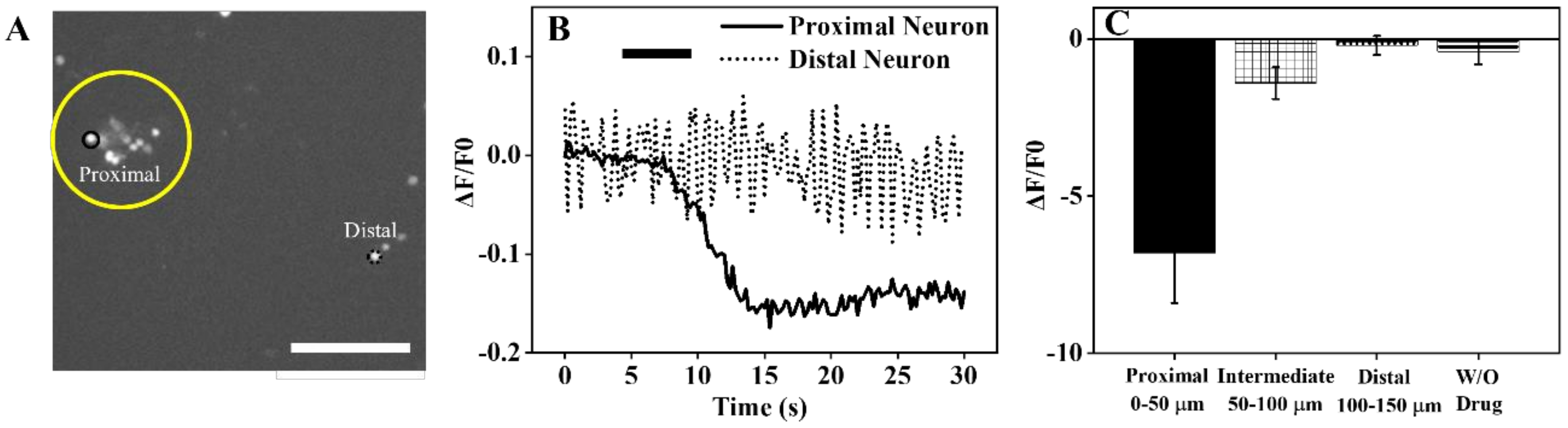 Biosensors 11 00348 g005