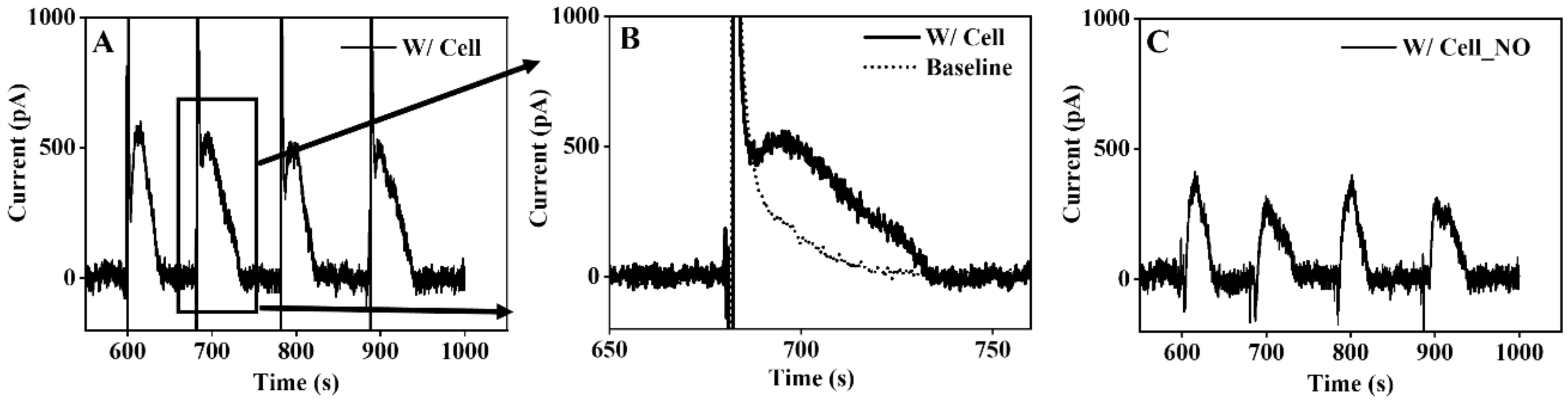 Biosensors 11 00348 g006
