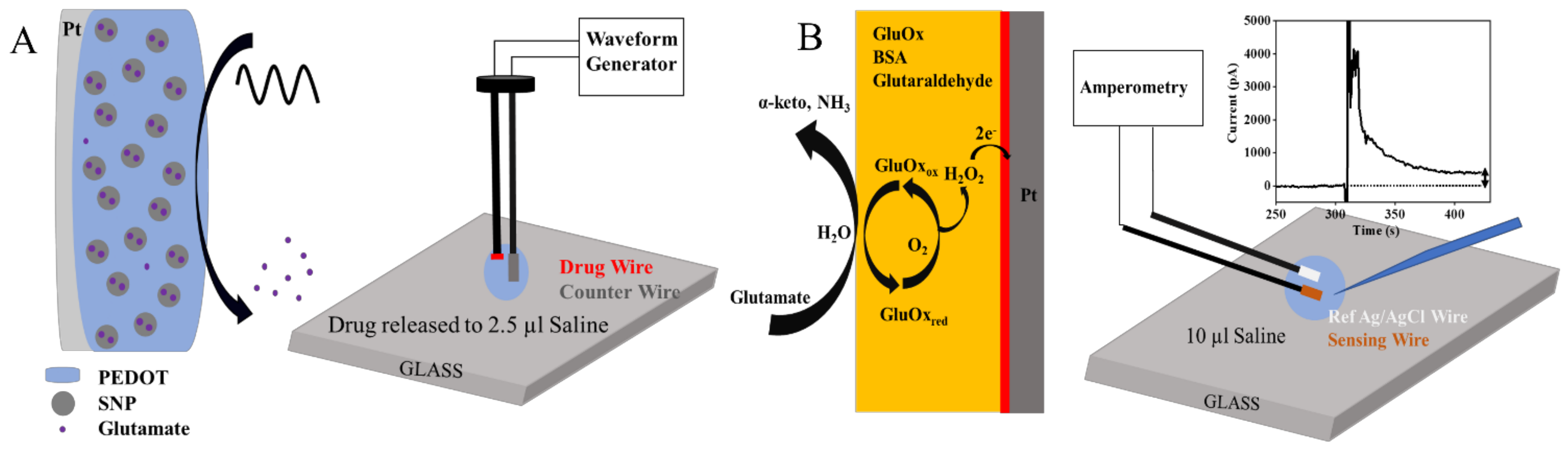 Biosensors 11 00348 sch001