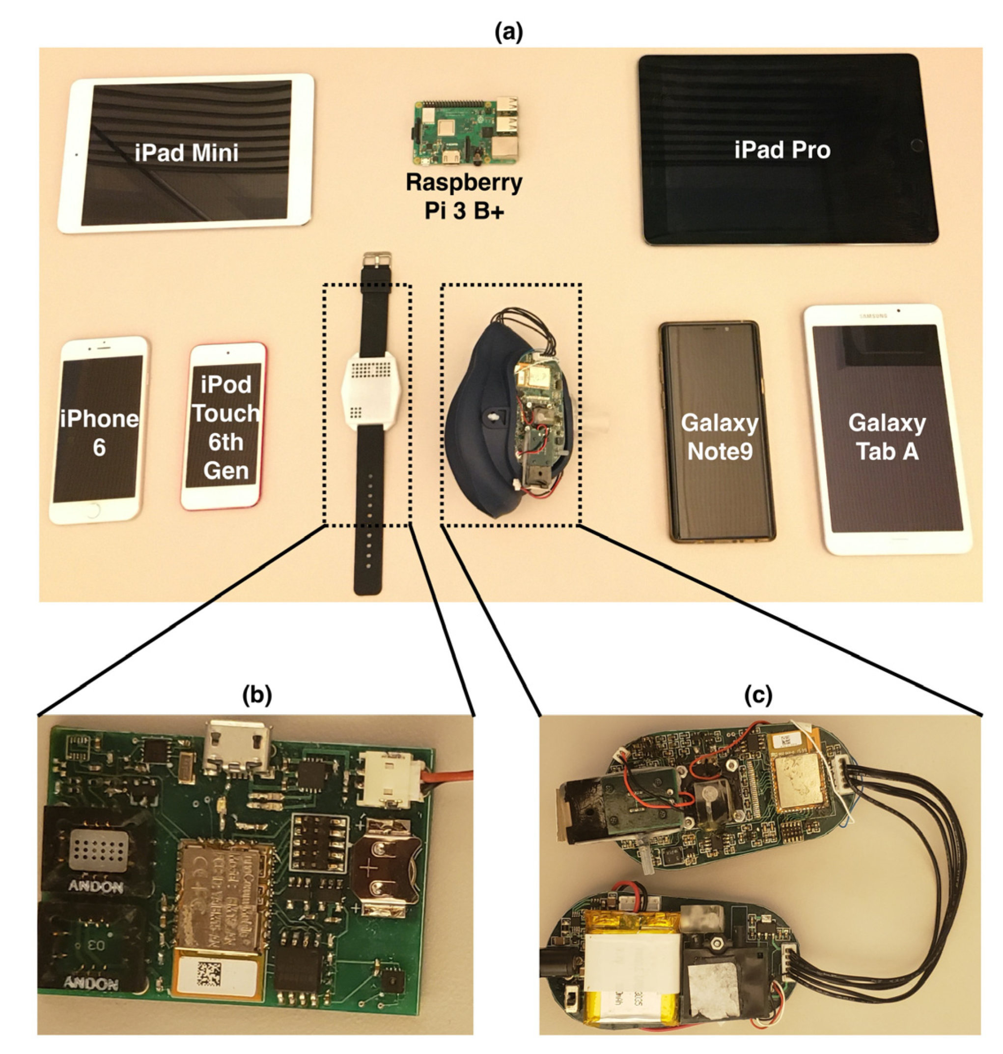 Biosensors 11 00350 g002