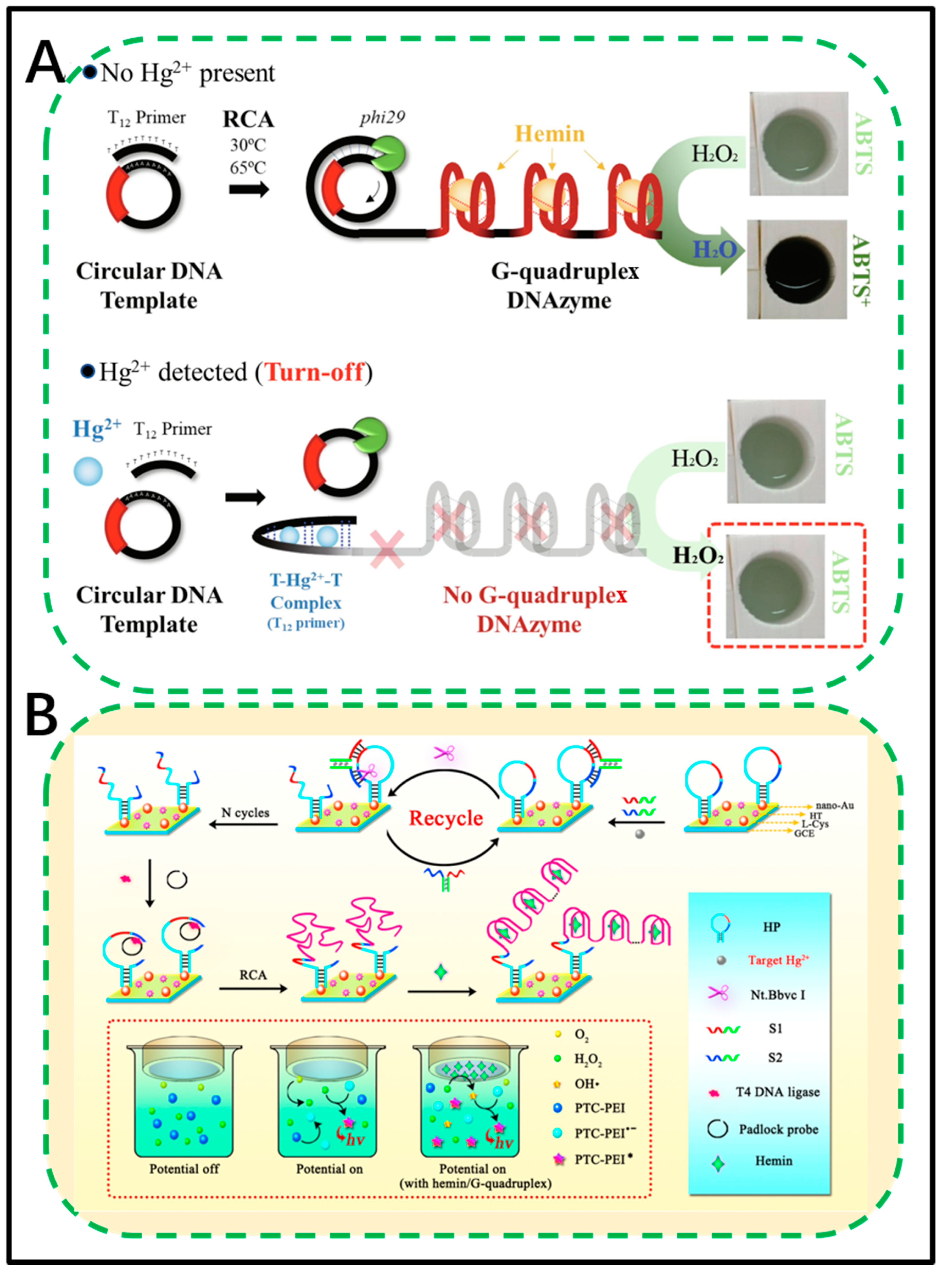 Biosensors 11 00352 g002