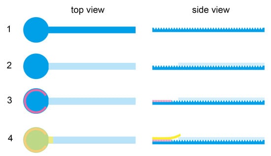 Biosensors 11 00355 g0a2 550