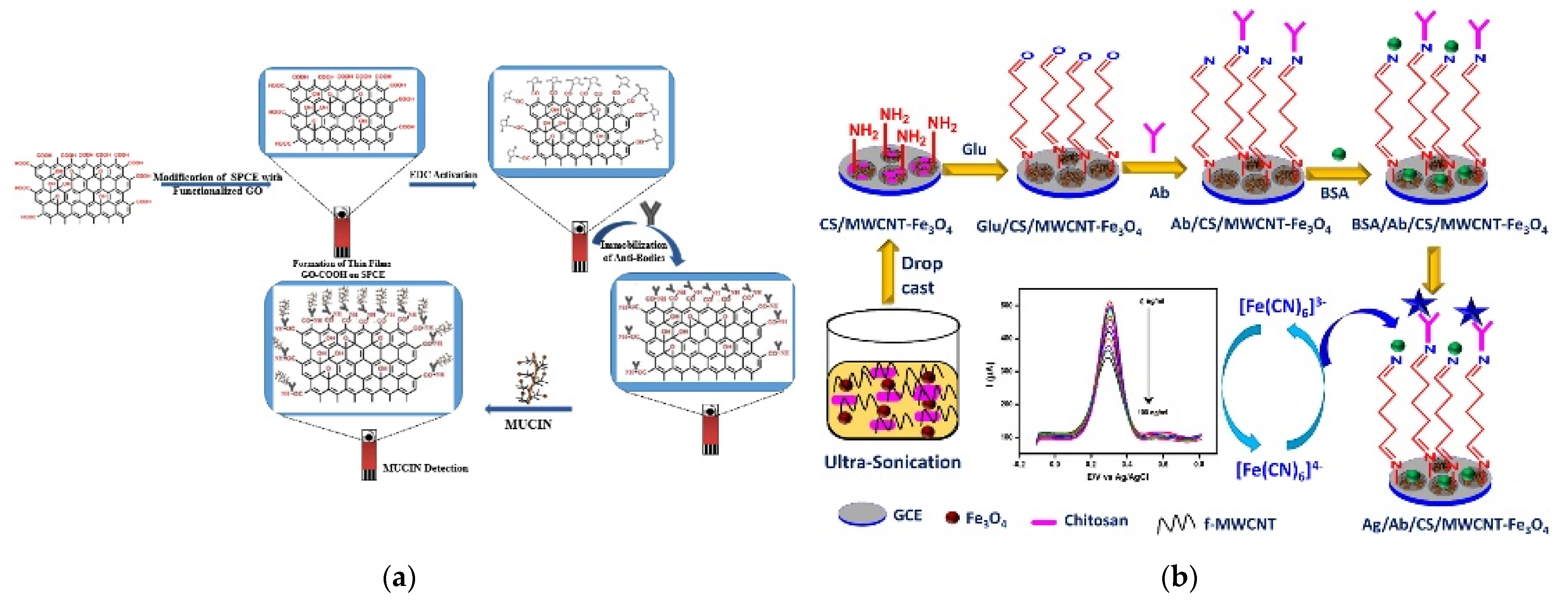 Biosensors 11 00360 g002