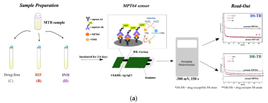 Biosensors 11 00360 g003a 550