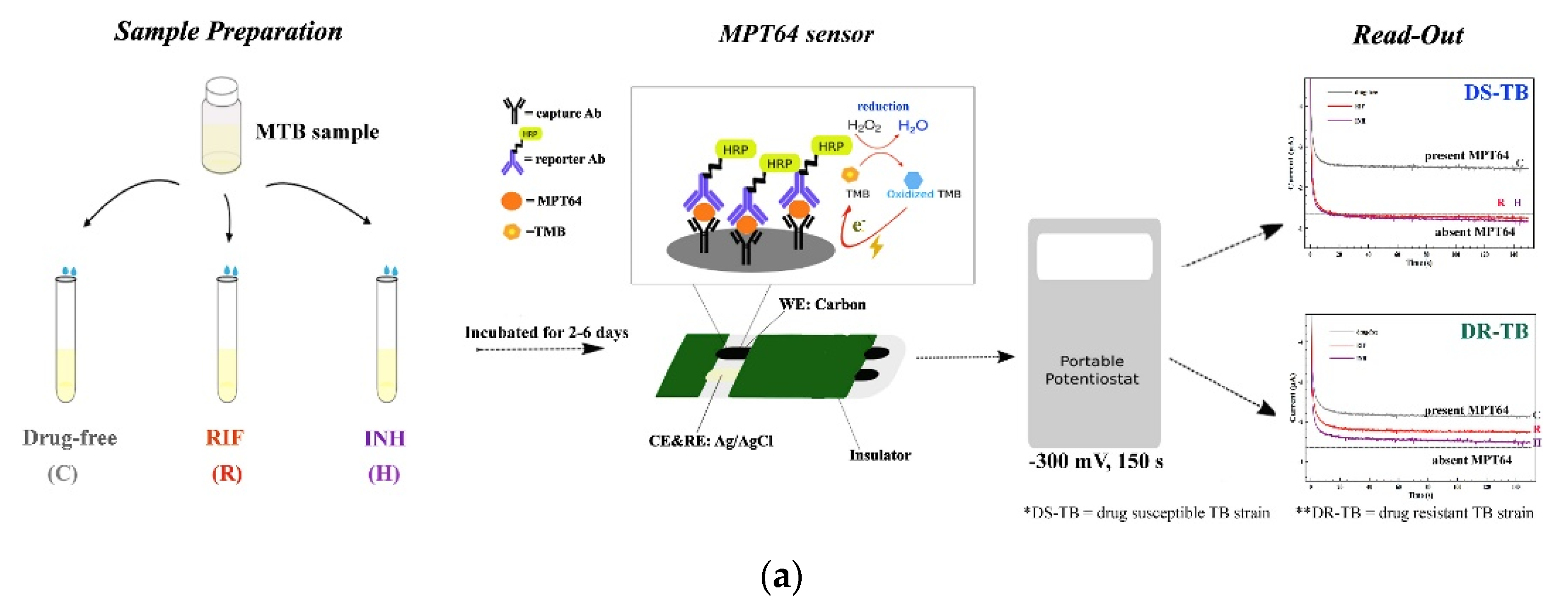 Biosensors 11 00360 g003a