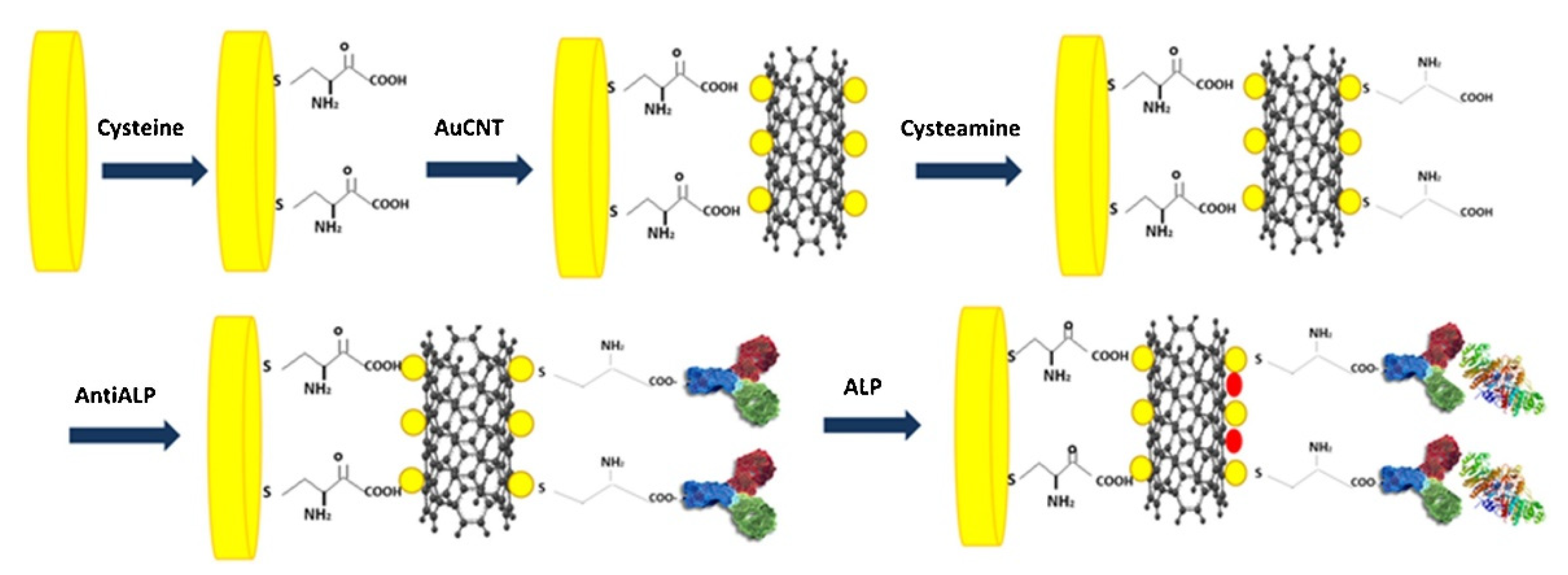 Biosensors 11 00360 g006
