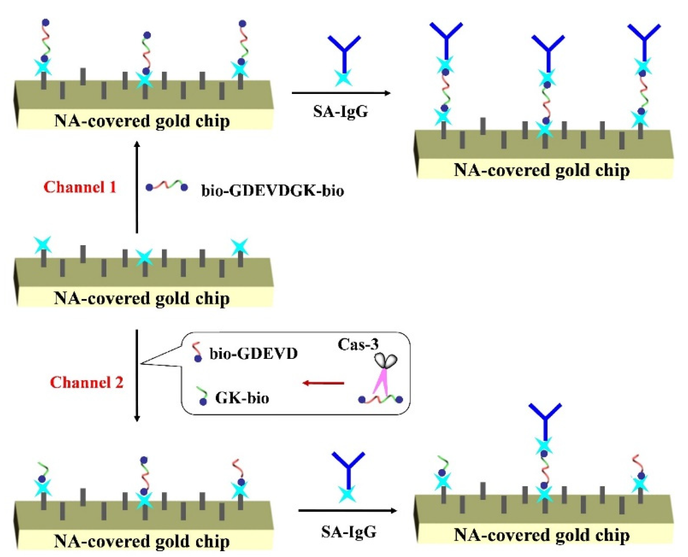 Biosensors 11 00362 sch001
