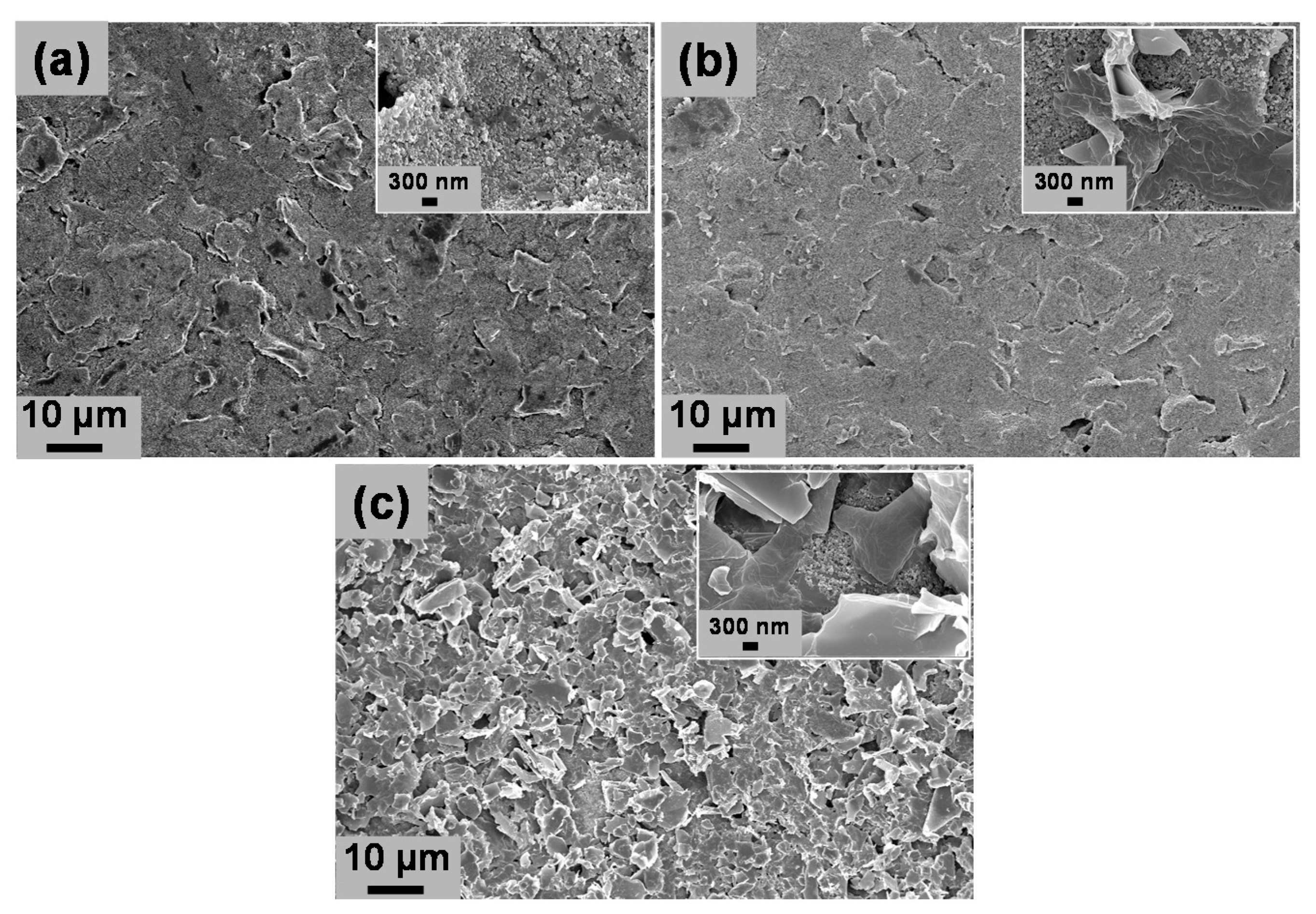 Biosensors 11 00368 g001