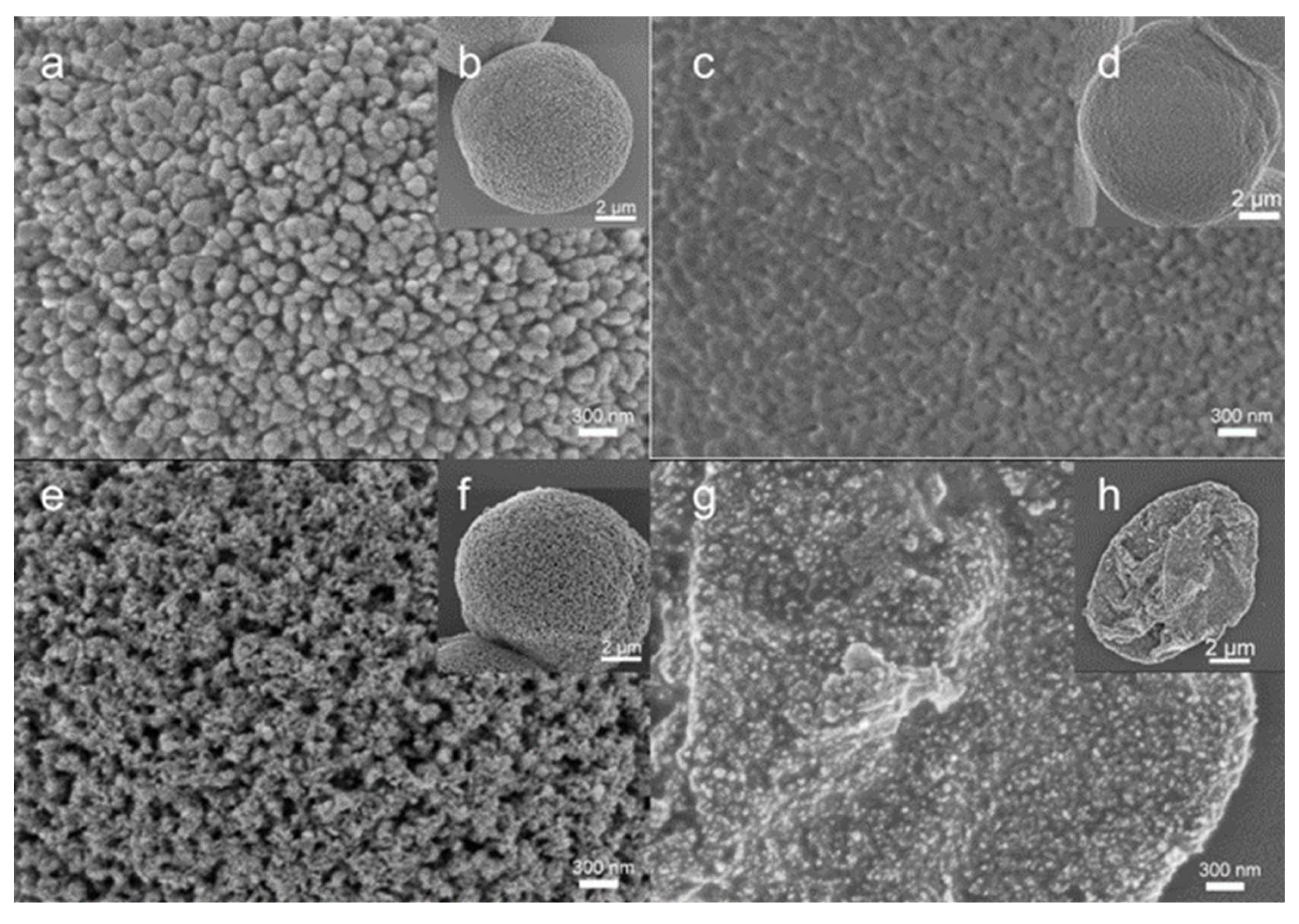 Biosensors 11 00380 g002