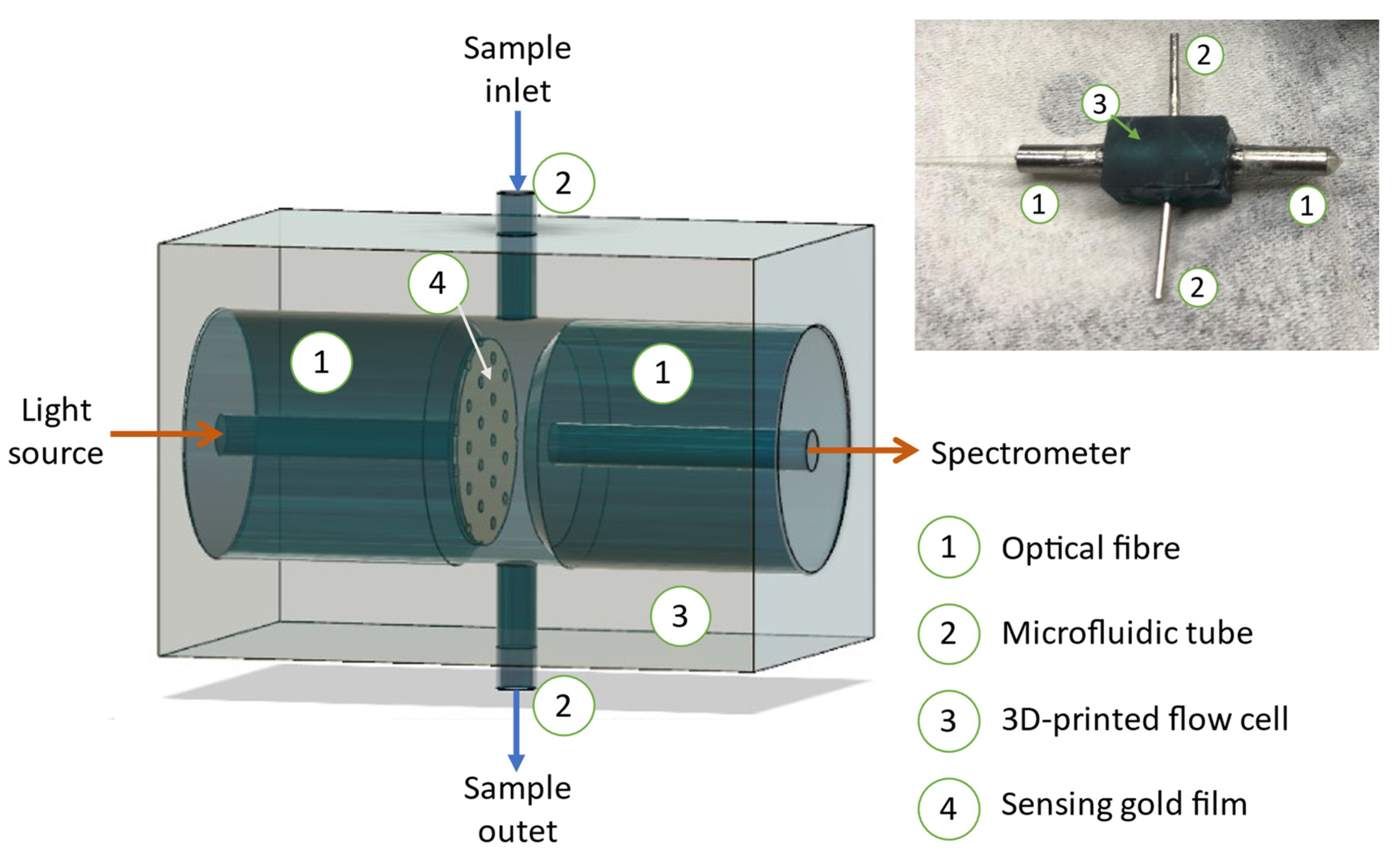 Biosensors 11 00383 g001