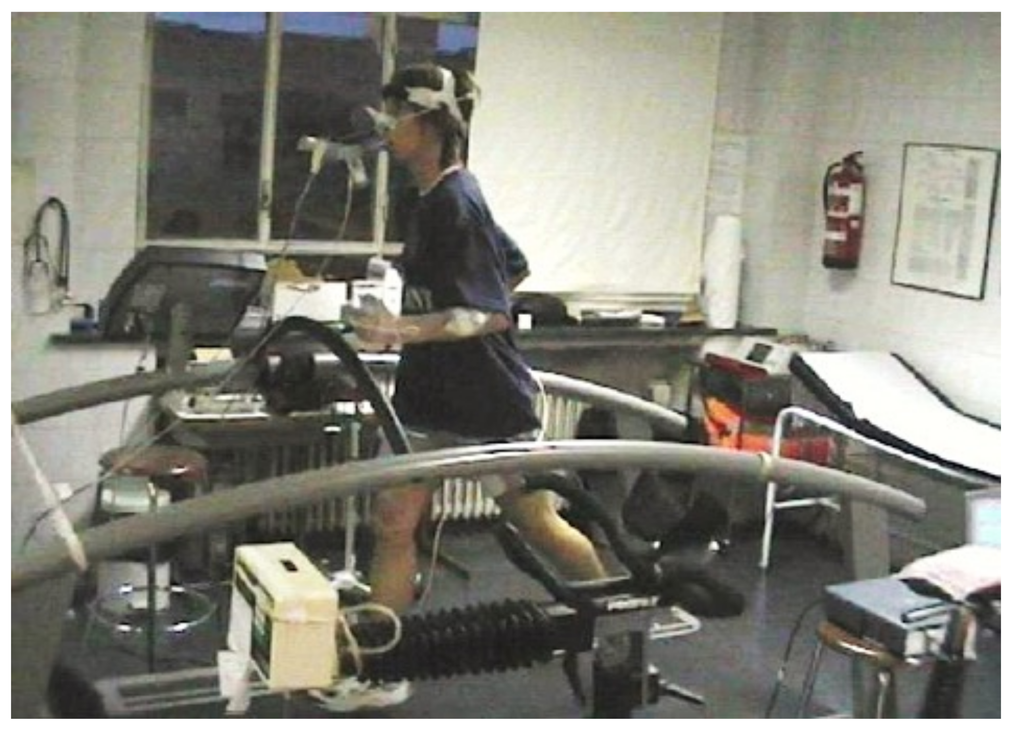 Biosensors 11 00391 g003