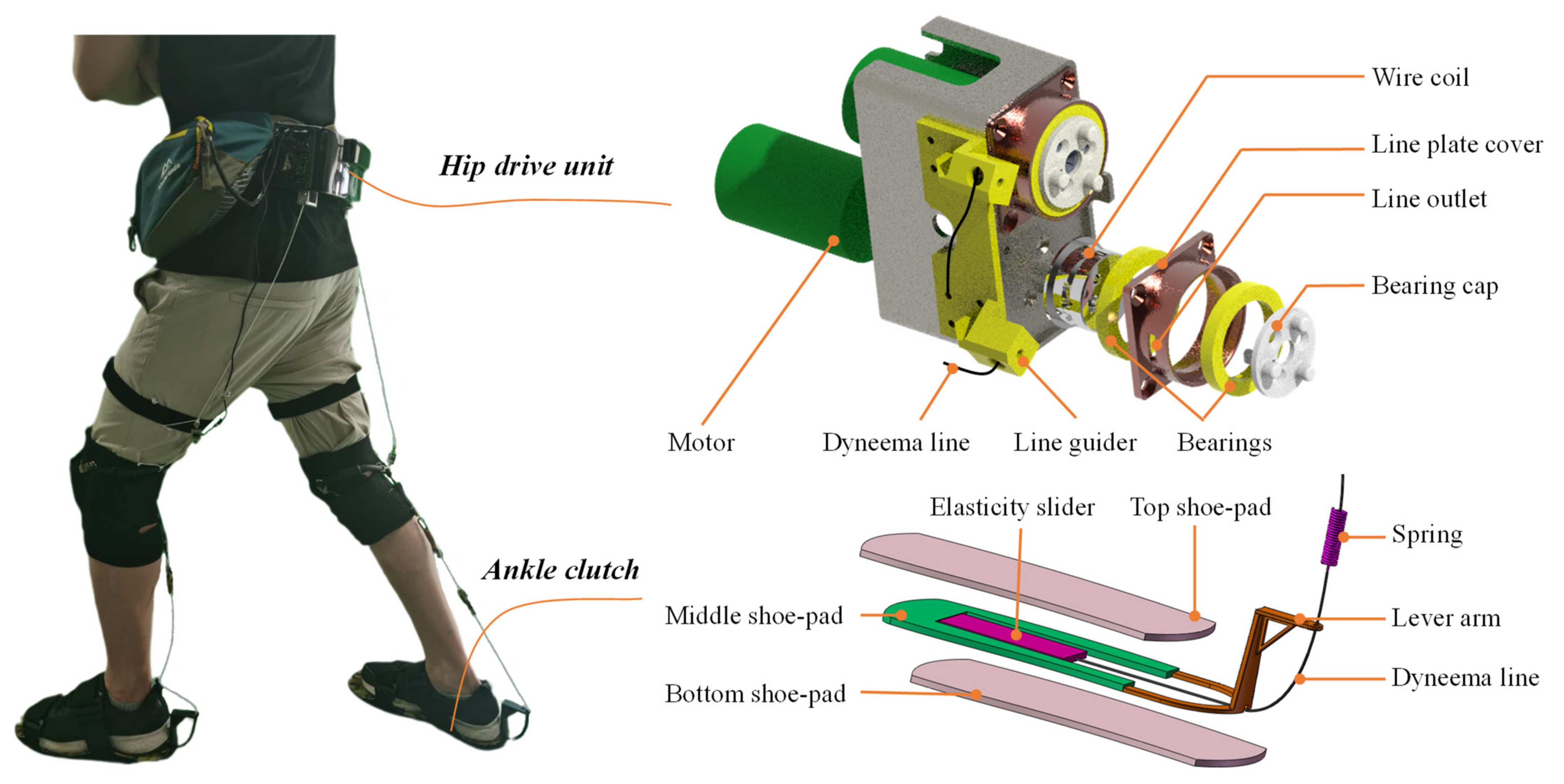 Biosensors 11 00393 g002