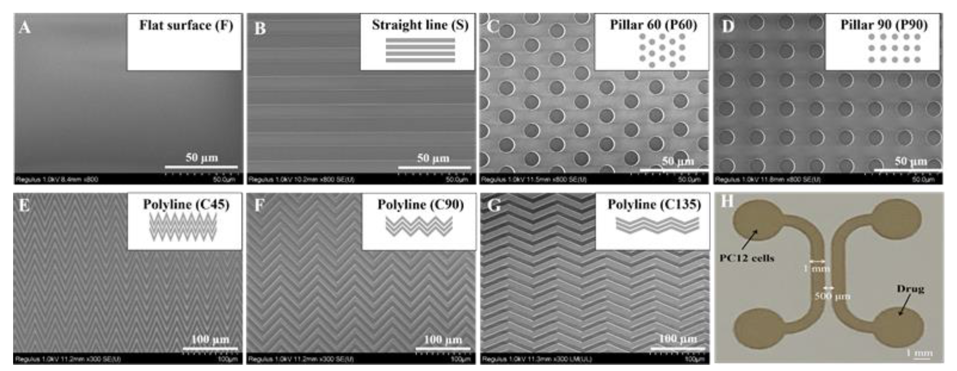 Biosensors 11 00399 g001
