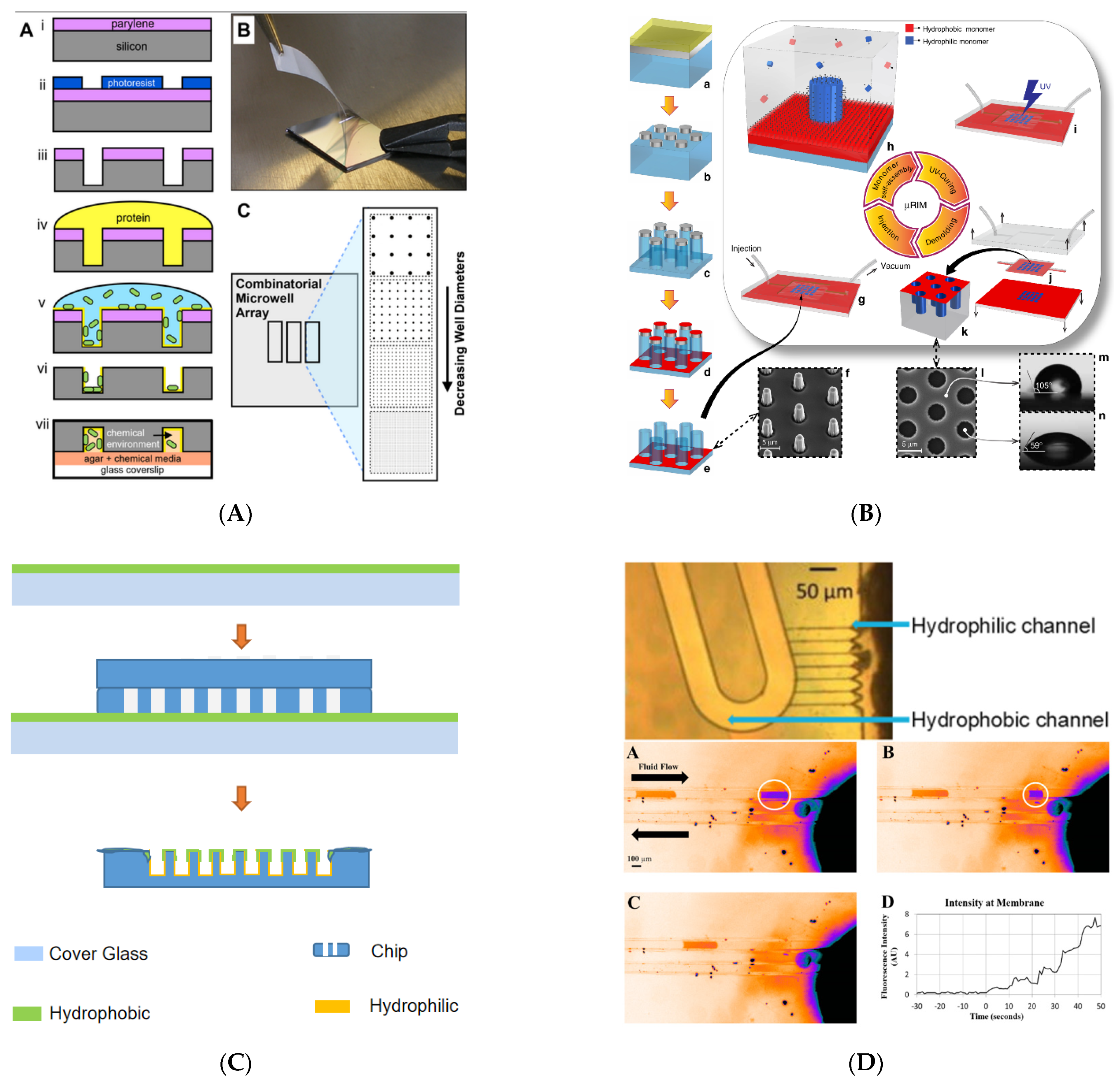 Biosensors 11 00405 g002