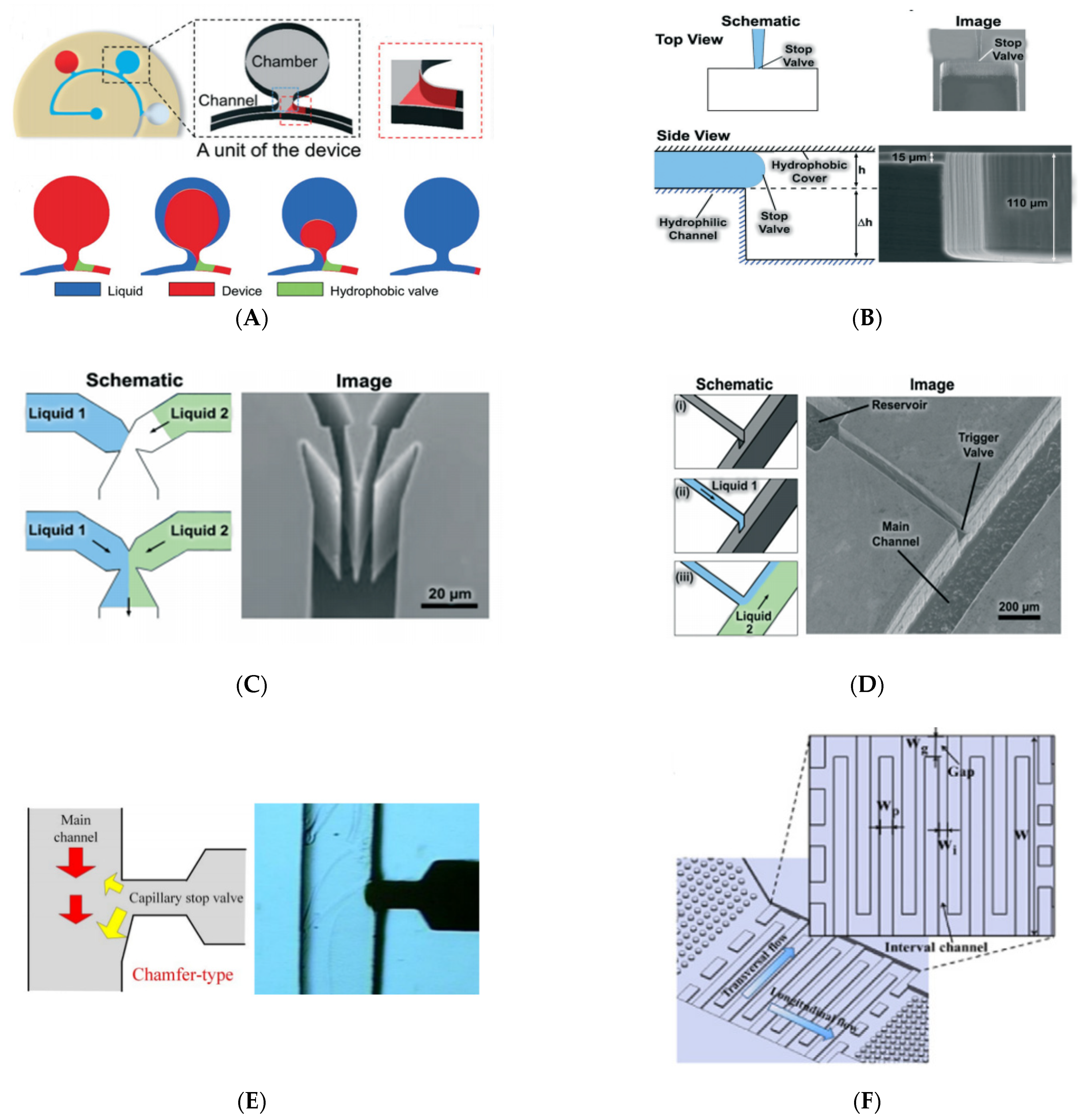 Biosensors 11 00405 g003