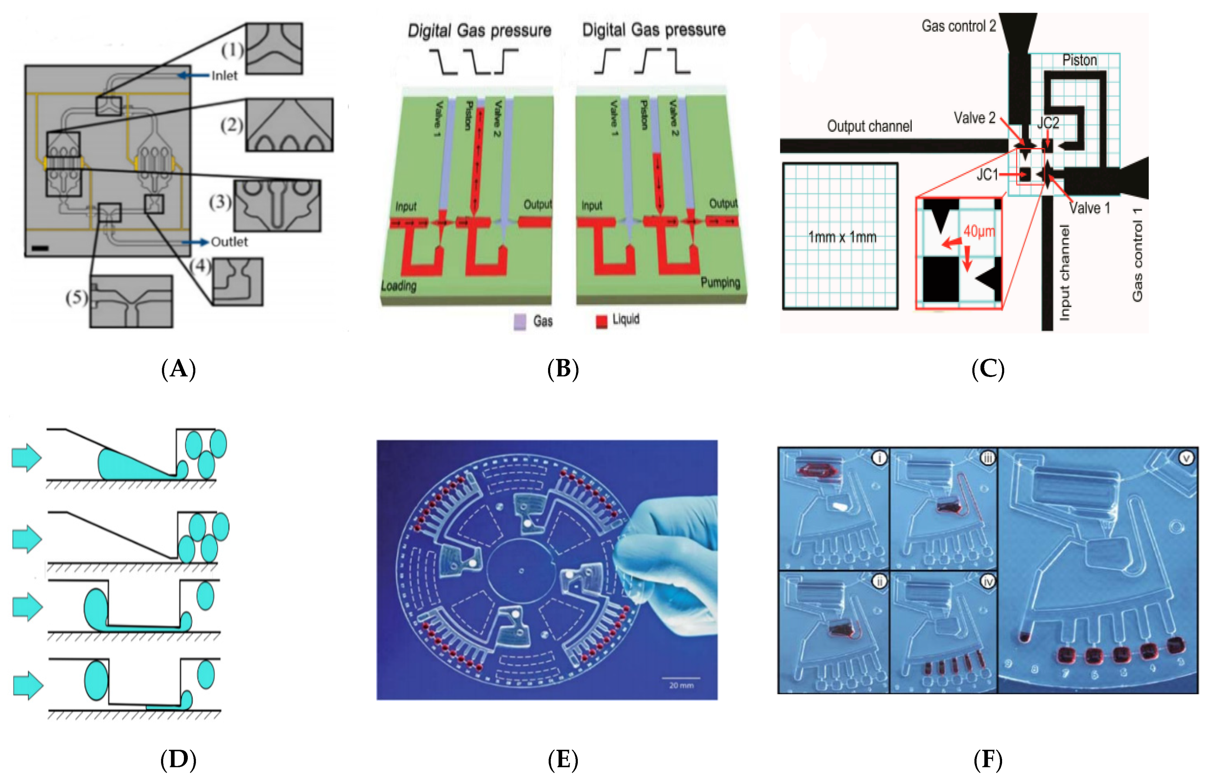 Biosensors 11 00405 g004