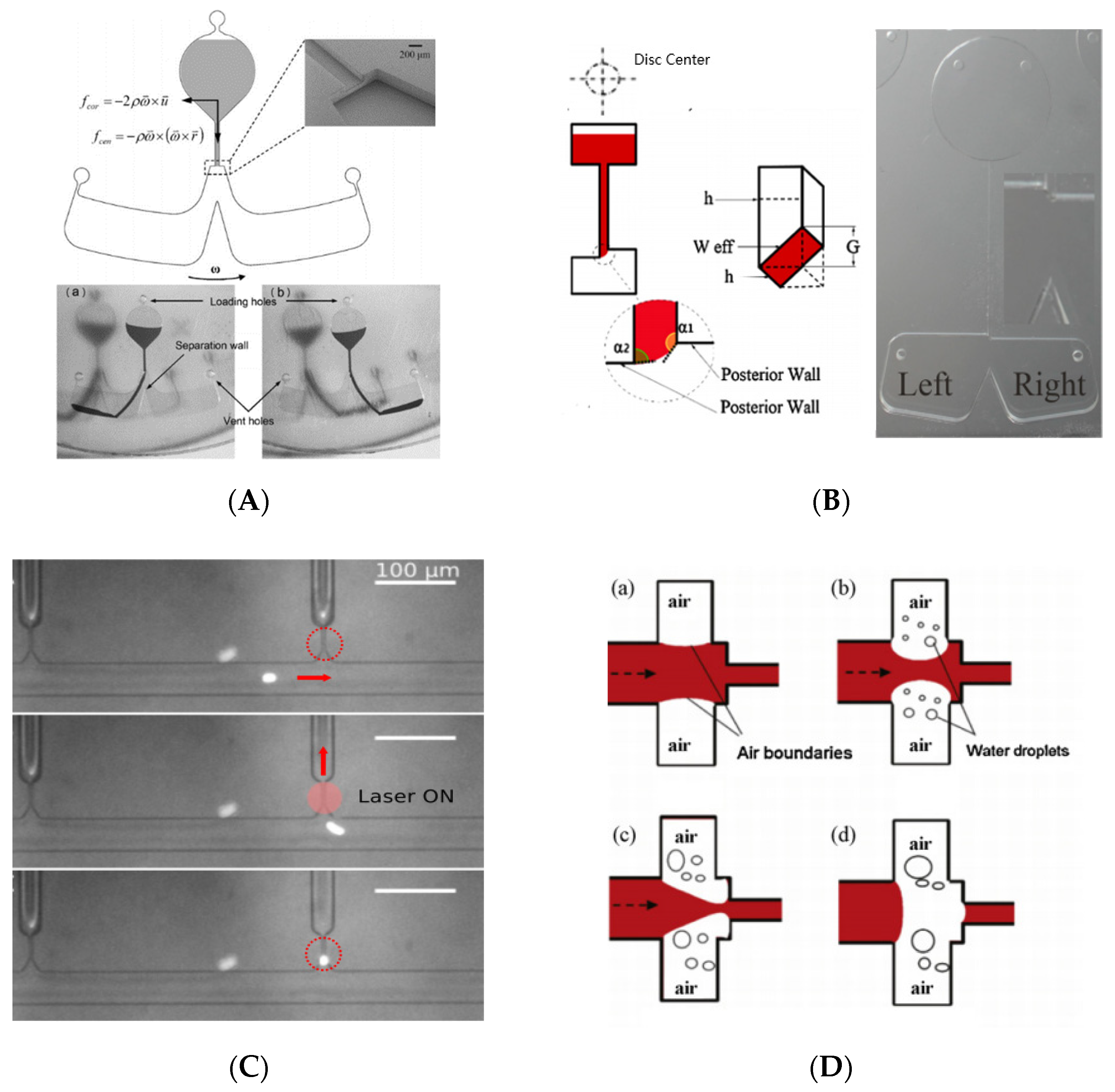 Biosensors 11 00405 g005