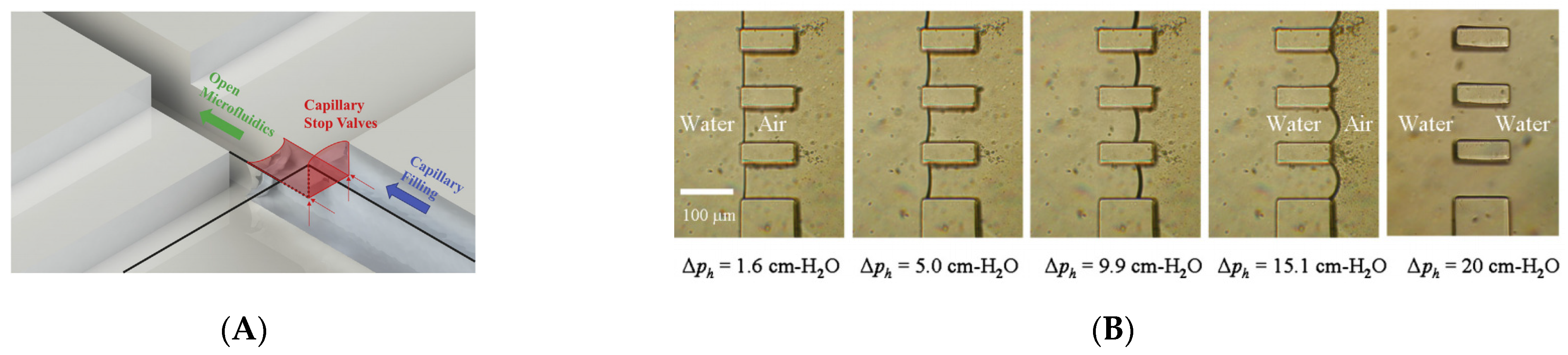 Biosensors 11 00405 g006