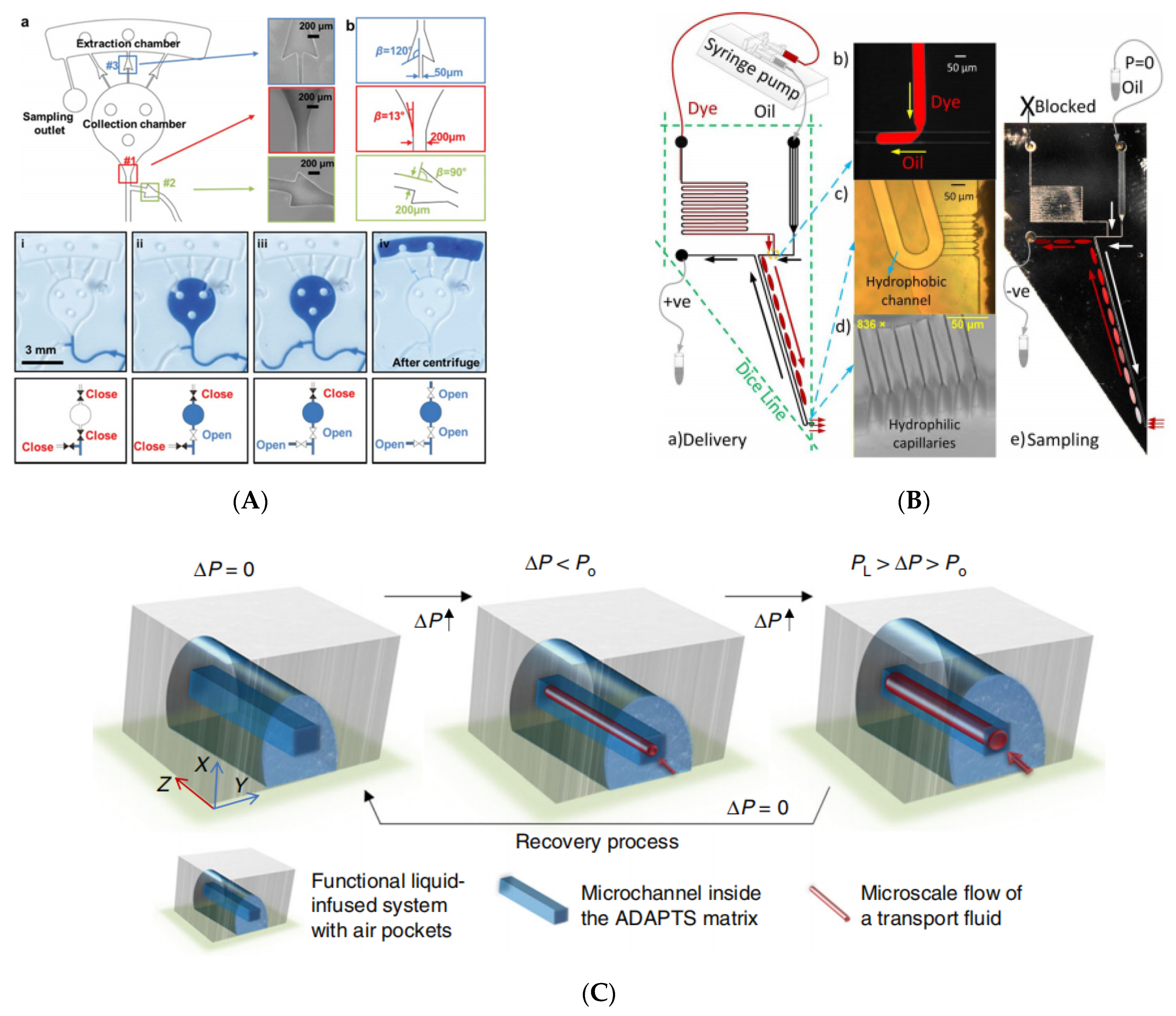 Biosensors 11 00405 g007