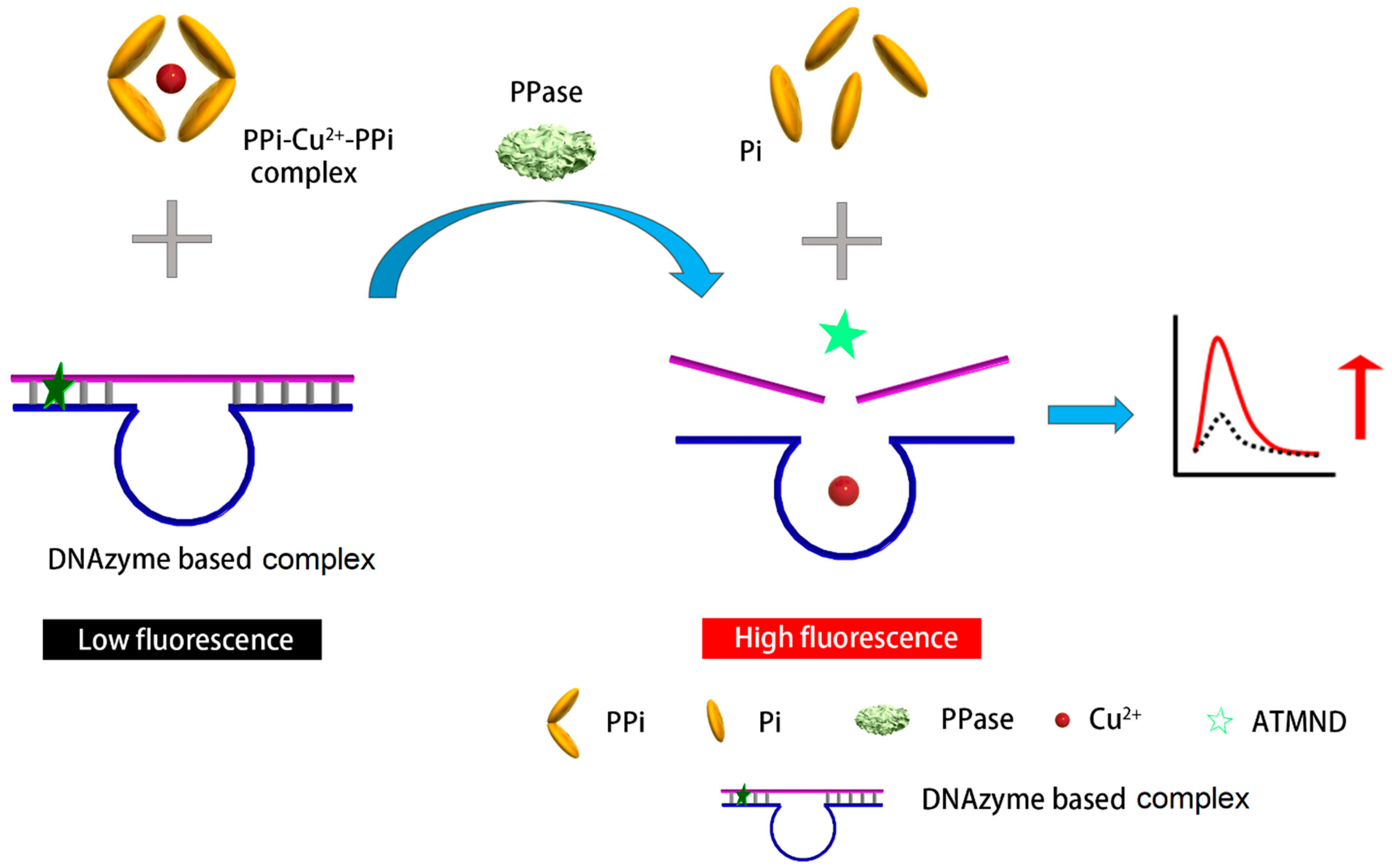 Biosensors 11 00422 sch001