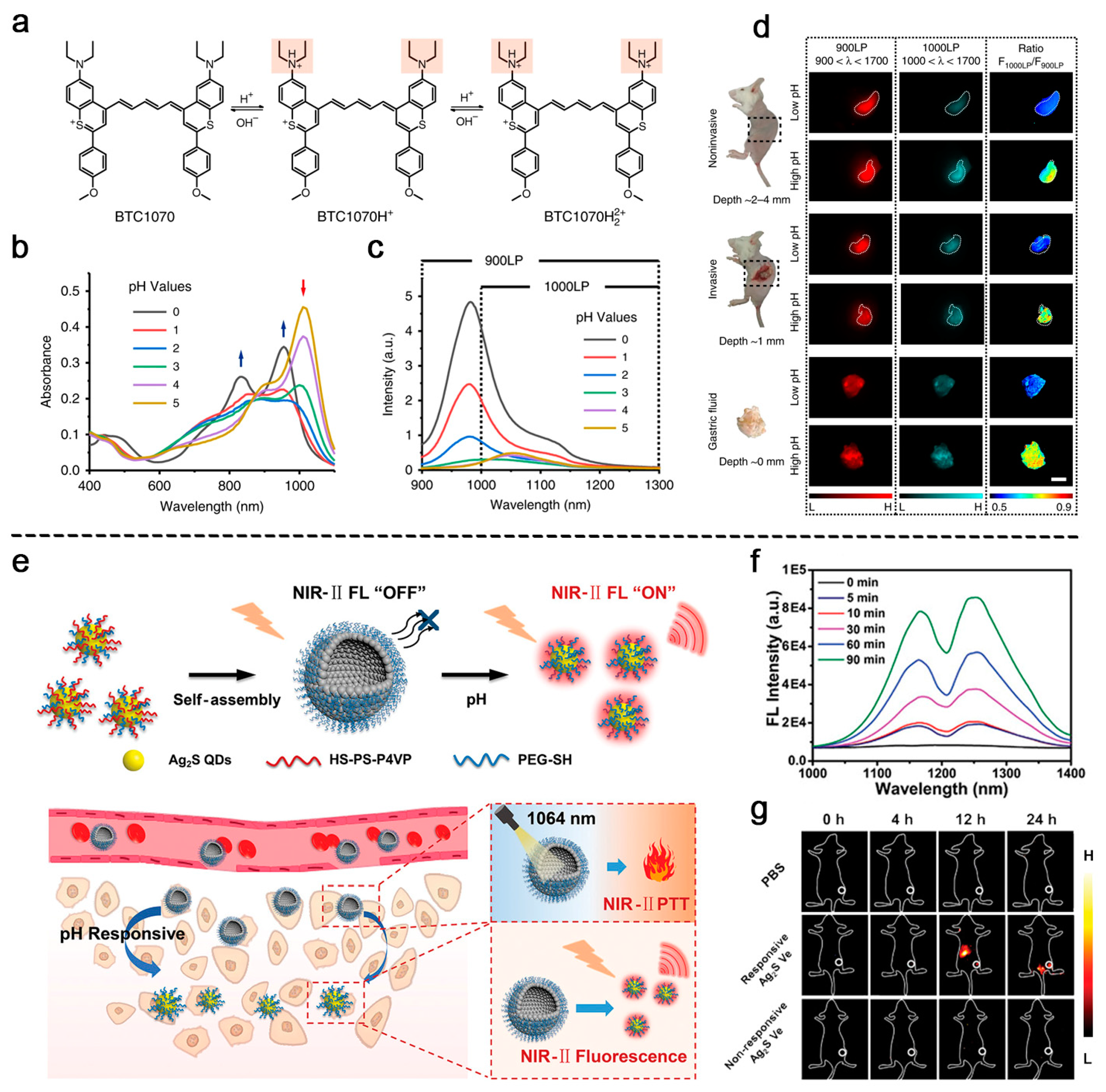 Biosensors 11 00436 g002