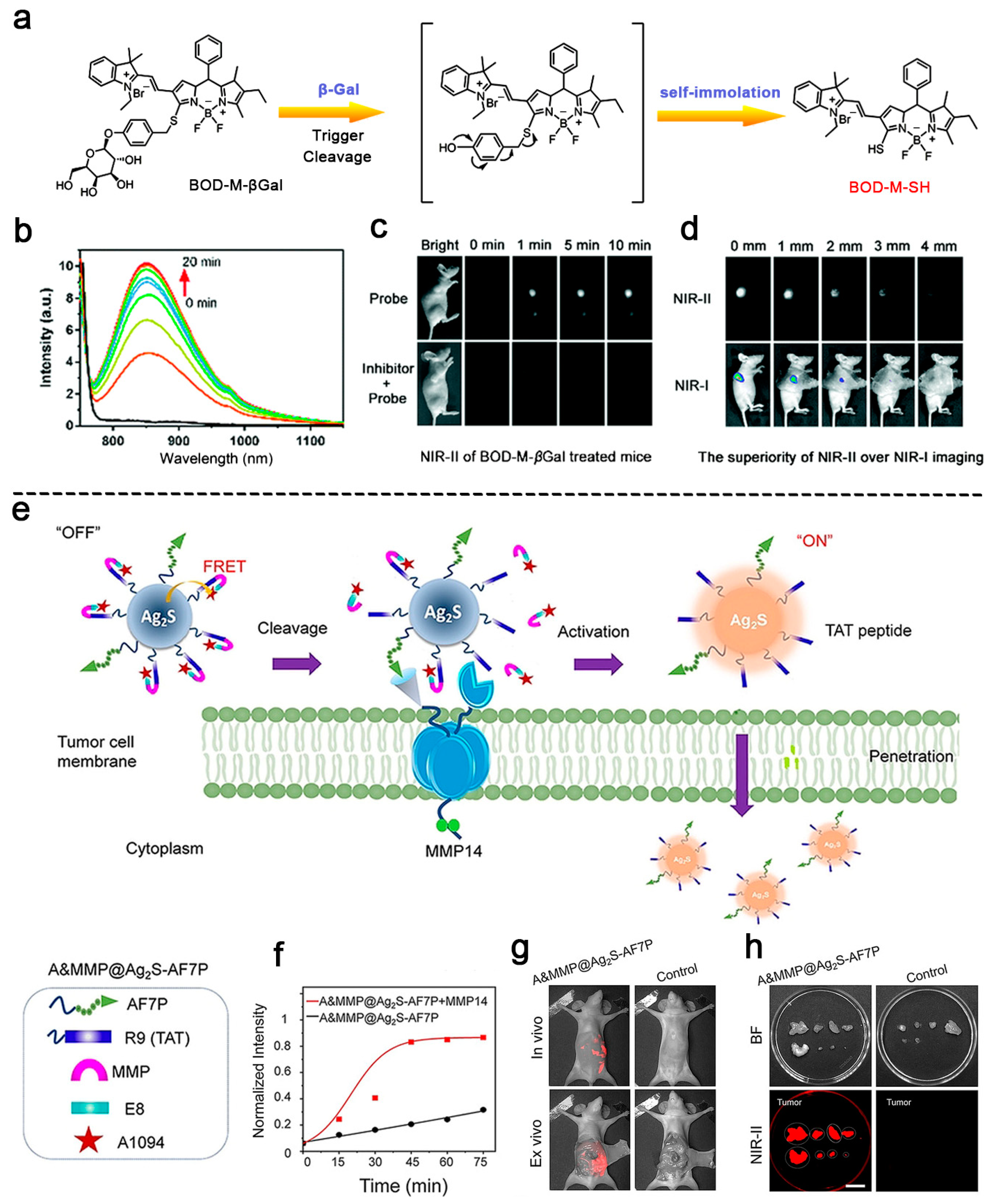 Biosensors 11 00436 g003