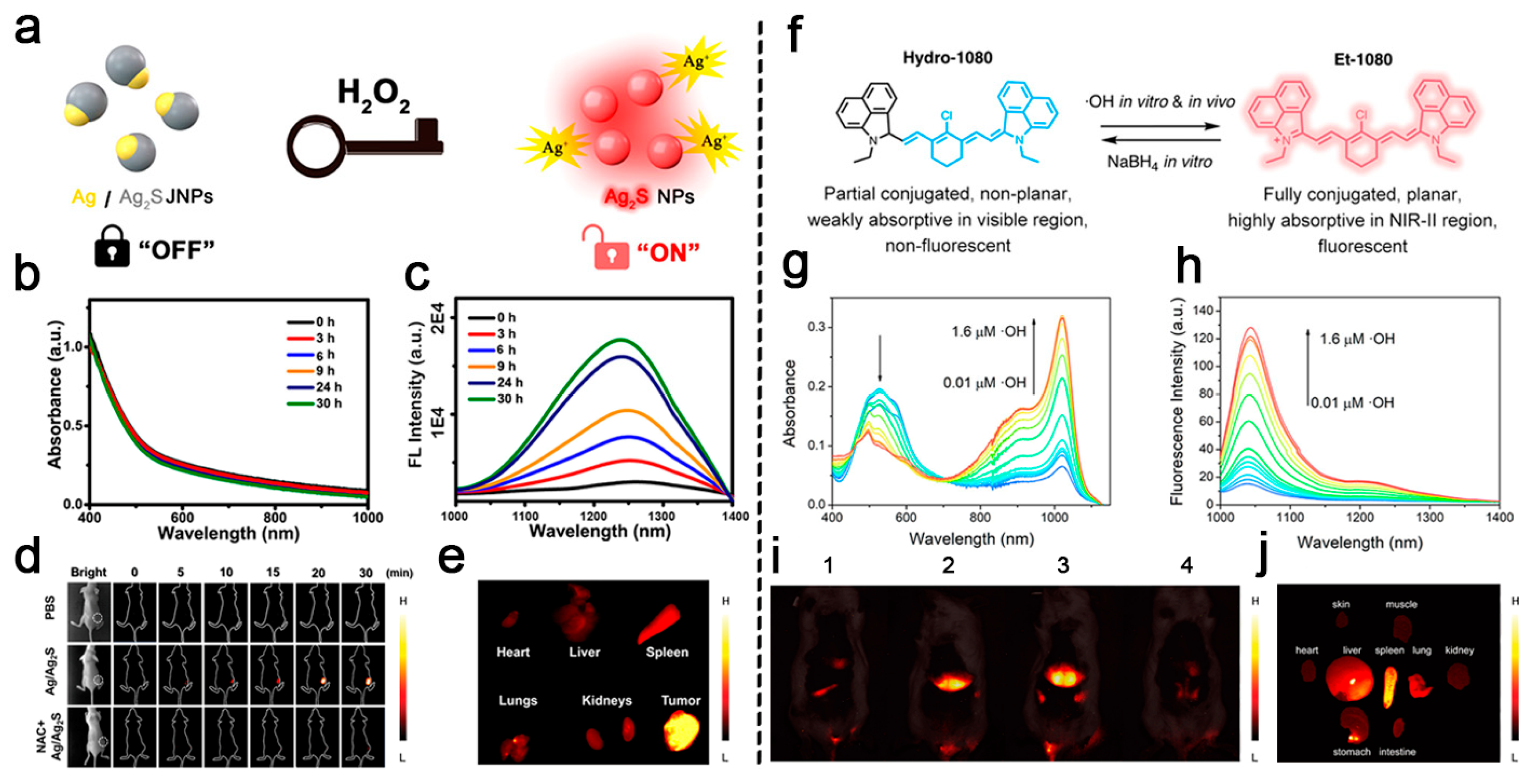 Biosensors 11 00436 g004