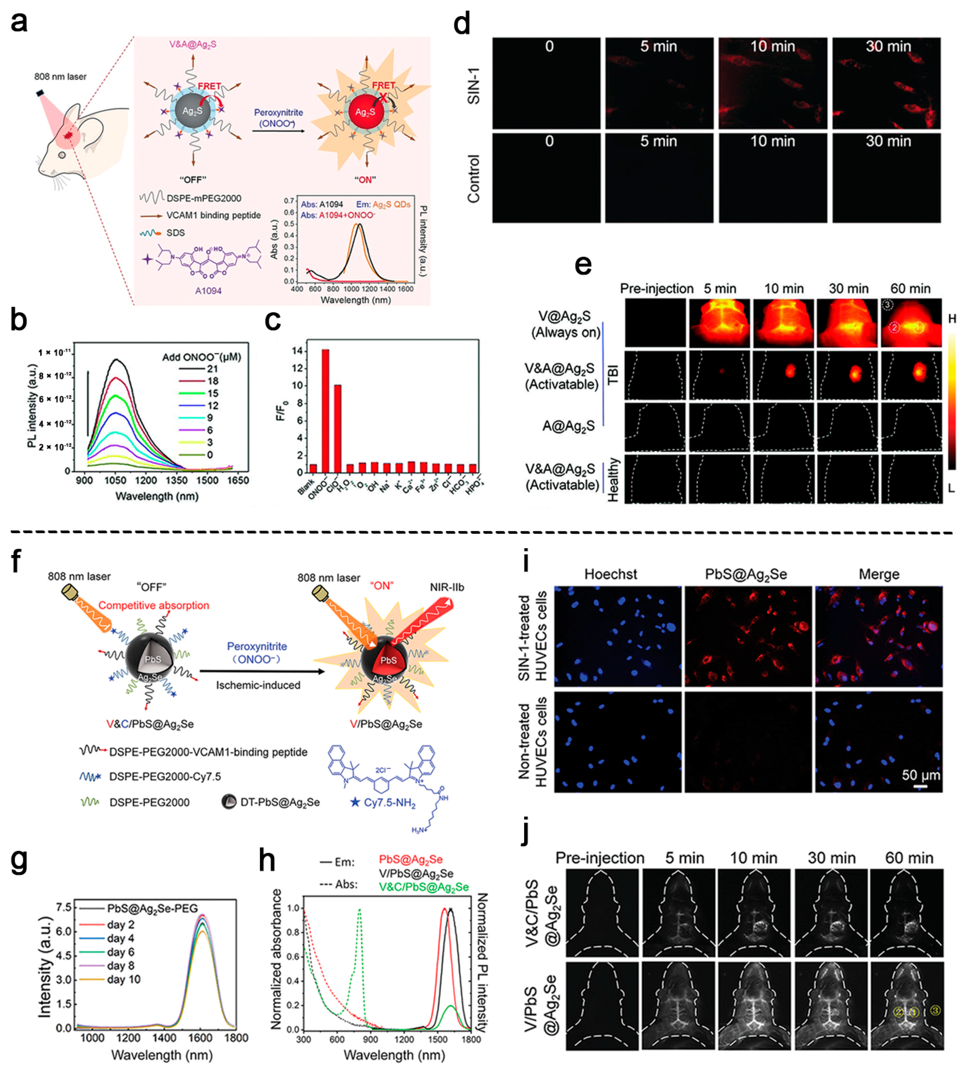 Biosensors 11 00436 g006