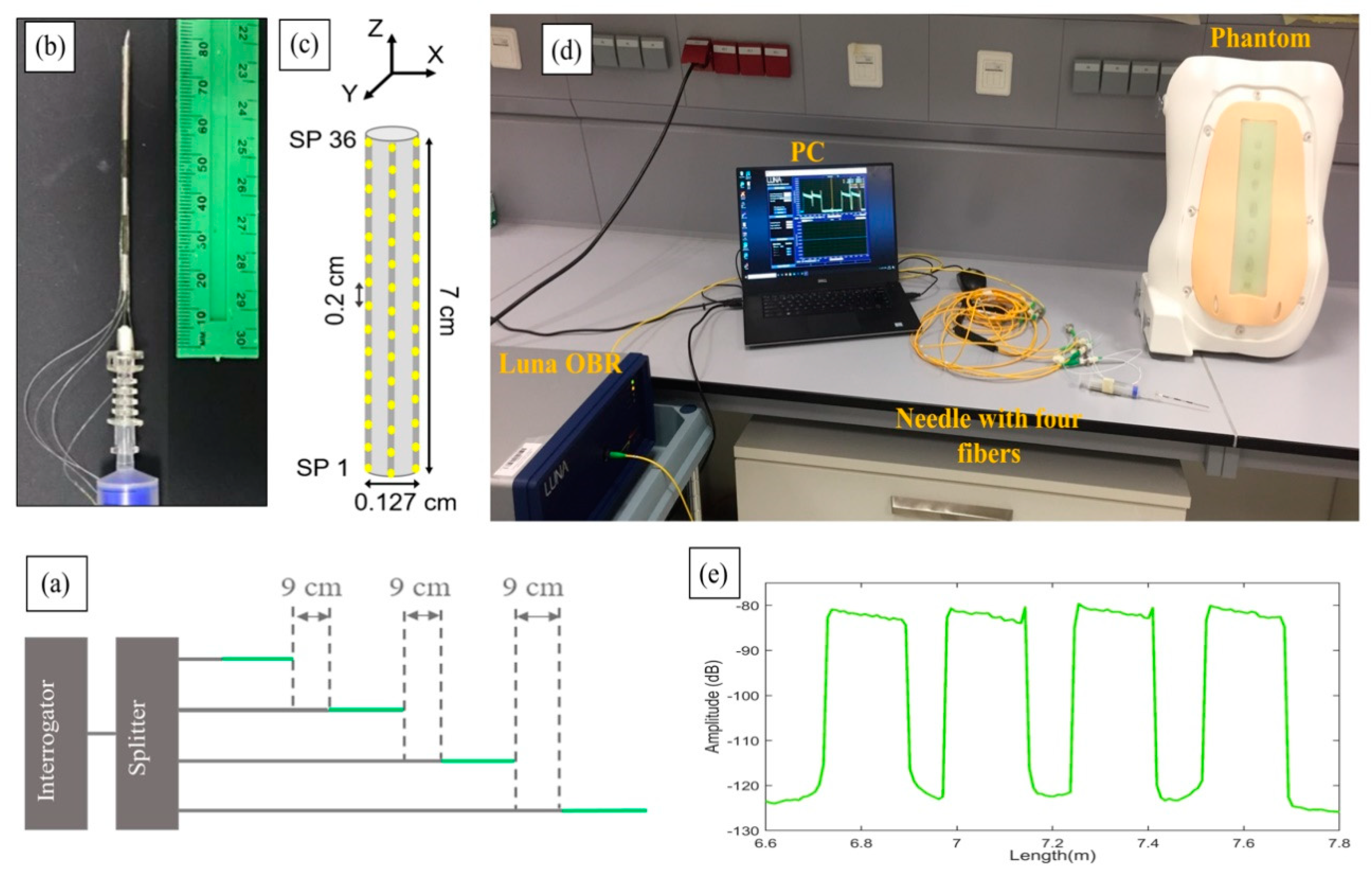 Biosensors 11 00446 g002